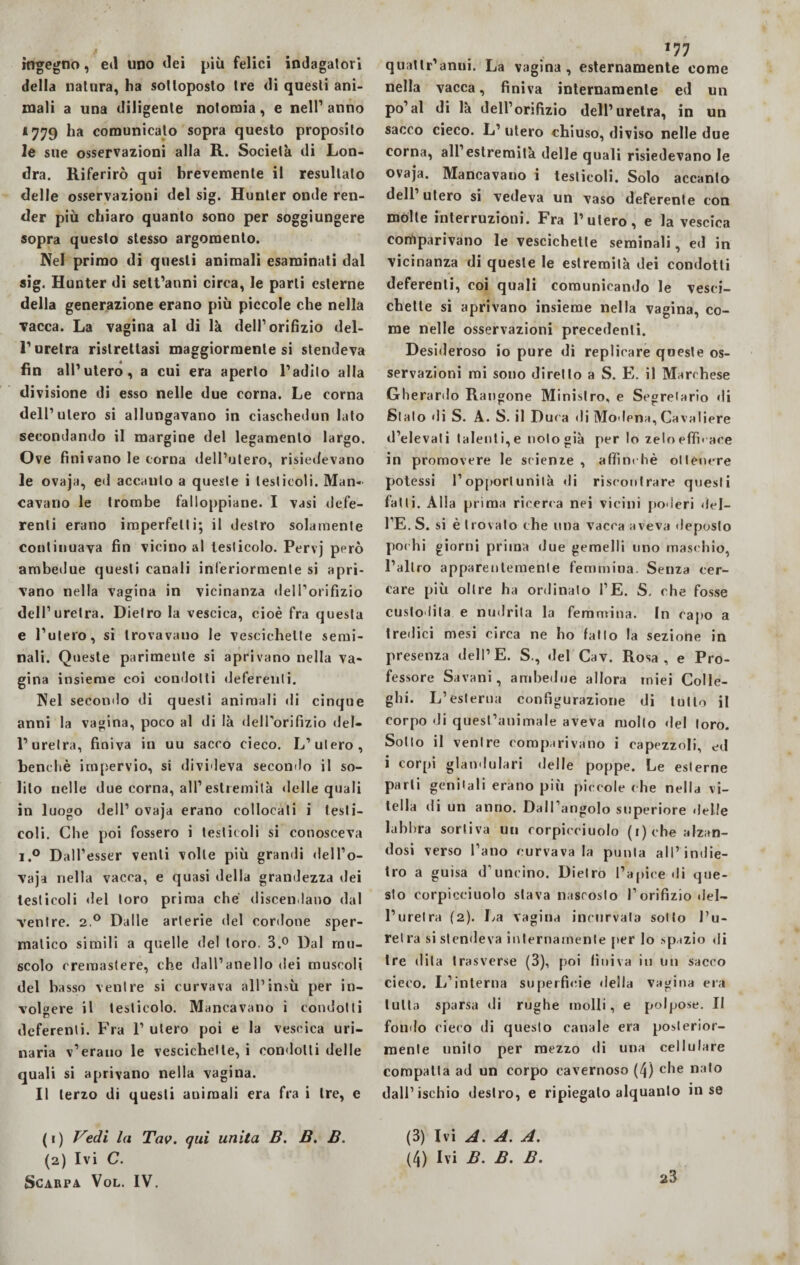 ingegno, e»l uno dei più felici indagatori della natura, ha sottoposto tre di questi ani¬ mali a una diligente nolomia, e nell’anno *779 ha comunicato sopra questo proposito le sue osservazioni alla R. Società di Lon¬ dra. Riferirò qui brevemente il resultato delle osservazioni del sig. Hunter onde ren¬ der più chiaro quanto sono per soggiungere sopra questo stesso argomento. Nel primo di questi animali esaminati dal sig. Hunter di sett’anni circa, le parli esterne della generazione erano più piccole che nella vacca. La vagina al di là dell’orifizio del¬ l’uretra ristrettasi maggiormente si stendeva fin all’utero, a cui era aperto l’adito alla divisione di esso nelle due corna. Le corna dell’utero si allungavano in ciaschedun lato secondando il margine del legamento largo. Ove finivano le corna dell’utero, risiedevano le ovaja, ed accanto a queste i testicoli. Man¬ cavano le trombe falloppiane. I vasi defe¬ renti erano imperfetti; il destro solamente continuava fin vicino al testicolo. Pervj però ambedue questi canali inferiormente si apri¬ vano nella vagina in vicinanza dell’orifìzio dell’uretra. Dietro la vescica, cioè fra questa e l’utero, si trovavano le vescichette semi¬ nali. Queste parimente si aprivano nella va¬ gina insieme coi condotti deferenti. Nel secondo di questi animali di cinque anni la vagina, poco al di là dell'orifizio del- 1’uretra, finiva in uu sacco cieco. L’utero, benché impervio, si divideva secondo il so¬ lito nelle due corna, all’estremità delle quali in luogo dell’ ovaja erano collocati i testi¬ coli. Che poi fossero i testicoli si conosceva i.° Dall’esser venti volle più grandi dell’o- vaja nella vacca, e quasi della grandezza dei testicoli del toro prima che discendano dal venire. 2.0 Dalle arterie del cordone sper¬ matico simili a quelle del loro. 3.° Dal mu¬ scolo cremastere, che dall’anello dei muscoli del basso ventre si curvava all’insù per in¬ volgere il testicolo. Mancavano i condotti deferenti. Fra 1’ utero poi e la vescica uri¬ naria v’erauo le vescichette, i condotti delle quali si aprivano nella vagina. Il terzo di questi animali era fra i tre, e (1) Vedi la Tav. qui unita B. B. B. (2) Ivi C. Scarpa Vol. IV. 177 qnattr’ànni. La vagina, esternamente come nella vacca, finiva internamente ed un po’al di là dell’orifizio dell’uretra, in un sacco cieco. L’ utero chiuso, diviso nelle due corna, all’estremità delle quali risiedevano le ovaja. Mancavano i testicoli. Solo accanto dell’utero si vedeva un vaso deferente con molte interruzioni. Fra l’utero, e la vescica comparivano le vescichette seminali, ed in vicinanza di queste le estremità dei condotti deferenti, coi quali comunicando le vesci¬ chette si aprivano insieme nella vagina, co¬ me nelle osservazioni precedenti. Desideroso io pure di replicare queste os¬ servazioni mi sono diretto a S. E. il Marchese Gherardo Rangone Ministro, e Segretario di Sialo di S. A. S. il Duca di Modena, Ca valiere d’elevati talenti,e nologià per lo zeloeffirace in promovere le scienze, affinchè ottenere potessi l’opporlunilà di riscontrare questi fatti. Alla prima ricerca nei vicini poderi del- l’E. S. si è trovalo che lina vacca aveva deposto pochi giorni prima due gemelli uno maschio, l’altro apparentemente femmina. Senza cer¬ care più olire ha ordinalo l’E. S. che fosse custodita e nudrila lo femmina. In capo a tredici mesi circa ne ho fallo la sezione in presenza dell’E. S., del Cav. Rosa, e Pro¬ fessore Savani, ambedue allora miei Colle¬ ghi. L’esterna configurazione di tutto il corpo di quest’animale aveva mollo del loro. Sollo il venire comparivano i capezzoli, ed i corpi glandulari delle poppe. Le esterne parli genitali erano più piccole che nella vi¬ tella di un anno. Dall’angolo superiore delle labbra sortiva un rorpiceiuolo (1) che alzan¬ dosi verso l’ano curvava la punta all’indie¬ tro a guisa d’uncino. Dietro l’apice di que¬ sto corpicciuolo stava nascosto l’orifizio del¬ l’uretra (2). La vagina incurvata sotto Pu¬ re I ra si stendeva internamente per lo spazio di Ire dita trasverse (3), poi finiva in un sacco cieco. L’interna superficie della vagina era tutta sparsa di rughe molli, e polpose. Il fondo cieco di questo canale era posterior¬ mente unito per mezzo di una cellulare compatta ad un corpo cavernoso (4) che nato dall’ischio destro, e ripiegalo alquanto in se (3) Ivi A. A. A. (4) Ivi B. B. B. 23
