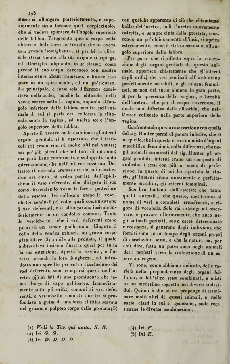 i?8 stesso si allungava posteriormente, e supe¬ riormente sin1» formare quel corpicciuolo, che si vedeva spuntare dall’angolo superiore delle labbra. Paragonalo questo corpo colla eli• ori• te «Iella vacca ho trovalo che ne aveva una grande Somigliànzà , si perchè la eli!o— ri«le slessa vicino alla sua origine si ripiega, ed allortiglia alquanto in se stessa ; come perchè il suo corpo cavernoso non mostra internamente alcun tramezzo, e finisce esso pure in un apice acuto, ed un po’ricurvo. La principale, e forse sola differenza consi¬ steva nella sede; poiché la clitoride nella vacca scorre sotto la vagina, e spunta all’an¬ golo inferiore delle labbra; mentre nell’ani¬ male di cui si parla era collocata la clito¬ ride sopra la vagina, ed usciva sotto l’an¬ golo superiore delle labbra. Aperto il ventre onde esaminare giuntemi organi genitali, si è osservato che i testi¬ coli (i) erano rimasti molto allinei ventre; un po’ più piccoli che nel toro di un anno; ma però bene conformali,-e sviluppati, tanto esternamente, che nell’interna tessitura. De¬ tratto il muscolo cremastere da cui ciasche- dun era cinto, si vedea partire dall’epidi¬ dimo il vaso deferente, che dirigeva il suo corso discendendo verso la faccia posteriore della vescica. Ivi collocate erano le vesci¬ chette seminali (2) colle quali comunicavano i vasi deferenti, e si allungavano insieme in¬ feriormente in un condotto comune. Tanto le vescichette , che i vasi deferenti erano pieni di un umor giallognolo. Cingeva il collo della vescica urinaria un grosso corpo glandulare (3) simile alla prostata, il quale abbracciava insieme l'uretra quasi per tutta la sua estensione. Aperta la vescica, e l’u¬ retra secondo la loro lunghezza, ed intro¬ dotto uno specillo per entro ciascheduno dei vasi deferenti, sono comparsi questi nell’u¬ retra (4) ai Iati di una prominenza che le- nea luogo di capo gallinaceo. Immediata¬ mente sotto gli orifizj comuni ai vasi defe¬ renti, e vescichette seminali l’uretra si pro¬ fondava a guisa di una fossa ellittica scavata nel grosso, e polposo corpo della prostata (5) (1) Vedi la Tav. qui unita, IL. K. (3) Ivi D. D. D. D. con qualche apparenza di ciò che chiamiamo bulbo dell’uretra; indi l’uretra nuovamente ristretta, e sempre cinta dalla prostata, scor¬ rendo un po’obliquamente all’insù, si apriva esternamente, come è stato accennato, all’an¬ golo superiore delle labbra. Per poco che si rifletta sopra la costru¬ zione degli organi genitali di questo ani¬ male, apparisce chiaramente che gl’interni dagli orifizj dei vasi seminali all’insù erano perfettamente maschili, e gli esterni femmi¬ nei, se non del tutto almeno in gran parte, sì per la presenza della vagina, e brevità dell’uretra, che per il corpo cavernoso, il quale non differiva dalla clitoride, che nel- l’esser collocato nella parte superiore della vagina. Confrontando questa osservazioue con quella del sig. Hunter parmi di potere inferire, che sì in quelle, che in questa vi era un misto d’organi maschili, e femminei, colla differenza, che ne¬ gli animali esaminati dal sig. Hunter gli or¬ gani genitali interni erano un composto di ambedue i sessi con più o meno di perfe¬ zione; in questo di cui ho riportata la sto¬ ria, gl’interni erano unicamente e perfetta¬ mente maschili, gli esterni femminei. Son ben lontano dall’asserire che tanto quelli animali , che questo, meritassero il nome di veri e completi ermafroditi, a ri¬ gore di vocabolo. Solo mi ristringo ad osser¬ vare, e provare ulteriormente, che anco ne¬ gli animali perfetti, sotto certe determinate circostanze, si generano degli individui, che forniti sono in un tempo degli organi proprj di eiaschedun sesso, e che la natura ha, per così dire, fallo un passo anco negli animali delti perfetti verso la costruzione di un es¬ sere an/lrogeno. Vi sono, come abbiamo indicato, delle va¬ rietà nella preponderanza degli organi del¬ l’uno, o dell’altro sesso combinati, e misti in un medesimo soggetto nei diversi indivi¬ dui. Quindi è che io mi propongo di esami¬ nare molti altri di questi animali, e nelle varie classi in cui si generano, onde regi¬ strarne le diverse combinazioni. (4) Ivi F.