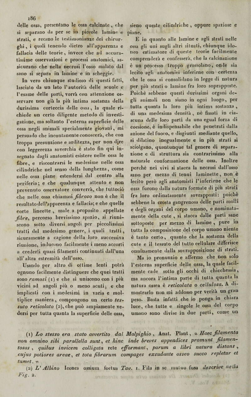 i86 delle ossa, presentano le ossa calcinale, che si separano da per se in piccole lamine e strali, e recano le testimonianze dei chirur¬ ghi, i quali lenendo dielro all’apparenza e fallacia delle teorie, invece che ad accura¬ tissime osservazioni e processi anatomici, as¬ sicurano che nella necrosi l’osso malato dal sano si separa in lamine e in scheggie. In vero chiunque studioso di questi fatti, lascialo da un lato l’autorità delle scuole e l’esame delle parti, vorrà con attenzione os¬ servare non già la più intima sostanza della durissima corteccia delle ossa, la quale ri¬ chiede un certo diligente metodo di investi¬ gazione, ma soltanto l’esterna superficie delle ossa negli animali specialmente giovani, mi persuado che incontanente conoscerà, che con troppa presunzione e arditezza, per non djre con leggerezza soverchia è stato fin qui in¬ segnalo dagli anatomisti esistere nelle ossa le fibre, e riscontrarsi le medesime nelle ossa cilindriche nel senso della lunghezza, come nelle ossa piane estendersi dal centro alla periferia; e che qualunque attento e non prevenuto osservatore converrà, che tultociò che nelle ossa chiamasi fibroso non è che il resultato dell’apparenza e fallacia; e che quelle corte lineette , male a proposito appellate fibre, percorso brevissimo spazio, si riuni¬ scono sotto diversi angoli per piccolissimi tratti del medesimo genere, i quali tratti, sicuramente a cagione della loro successiva riunione, inducono facilmente i meno accorti a crederli quasi filamenti continuati dall’una all’altra estremità dell’osso. Usando per altro di ottime lenti potrà ognuno facilmente distinguere che quei tratti sono ramosi (i) e che si uniscono con i più vicini ad angoli più o meno acuti j e che implicali con i medesimi in varia e mol- tiplice maniera, compongono un certo tes¬ suto reticolato (2), che può ampiamente ve¬ dersi per tutta quanta la superficie delle ossa, sieno queste cilindriche , oppure spaziose e piane. E in quanto alle lamine e agli strati nelle ossa gli uni sugli altri situali, chiunque ido¬ neo estimatore di queste teorie facilmente comprenderà e confesserà, che la calcinazione è un processo troppo grossolano, onde sia lecito agli anatomici inferirne con certezza che le ossa si consolidano in legge di natura per più strali o lamine fra loro soprapposte. Poiché sebbene questi durissimi organi de¬ gli animali non siano in ogni luogo, per tutta quanta la loro più intima sostanza , di una medesima densità , nè fissati in cia¬ scuna delle loro parti da una egual forza di coesione, è indispensabile che penetrati dalla azione del fuoco, e disgiunti mediante quello, si dilatino inegualmente e in più strali si sciolgano, quantunque tal genere di separa¬ zione e di struttura sia contrarissimo alla naturale conformazione delle ossa. Inoltre perchè nei vivi si stacca la necrosi dall’osso sano per mezzo di tenui laminelte, non è lecito però agli anatomisti l’inferirne che le ossa furono dalla natura formale di più strali fra loro ordinatamente sovrapposti: poiché sebbene la crosta gangrenosa delle parti molli e degli organi del corpo umano, e nominata¬ mente della cute , si stacca dalle parti sane sottoposte per mezzo di lamine , pure in tutta la composizione del corpo umano niente è tanto certo, quanto che la sostanza della cute e il tessuto del tutto cellulare differisce onninamente dalla sovrapposizione di strati. Ma io pronunzio e affermo che non solo l’esterna superficie delle ossa, la quale facil¬ mente cade sotto gli occhi di chicchessia, ma ancora l’intima parte di tutta quanta la natura ossea è reticolata o cellulosa. A di¬ mostrarlo non mi addosso per verità un gran peso. Basta infatti che io ponga in chiara luce, che tutte e singole le ossa del corpo umano sono divise in due parti, come un (1) Lo stesso era stato avvertito dal Malpighio , Anat. Plani, u Haecfilamento non omnino sibi parallella sunt, et hinc inde breves appendices promunt fi la in e n- tosas , quibus invicem colligata rete ejfiormant, parum a libri natura distans , cujus potiores areae, et tota fibrarum compages exsudante osseo succo repletur et tumet. n (2) L'' Albino Icones opsium foelus Tav. 1. Fila in se mutuo fusa descrive nella