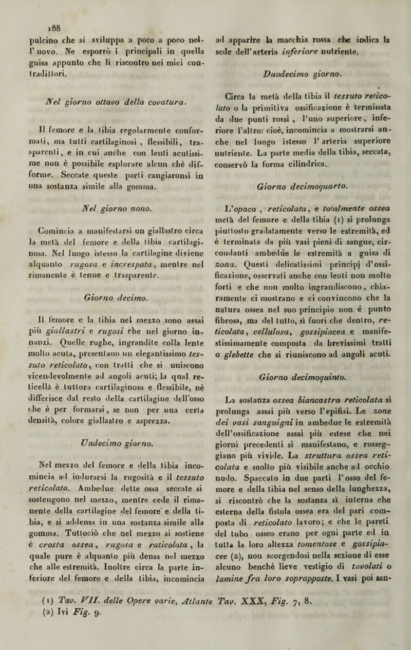 pulcino che si sviluppa a poco a poco nel- 1’ uovo. Ne esporrò i principali in quella guisa appunto che li riscontro nei miei con- tradillori. Nel giorno ottavo della covatura. Il femore e la libia regolarmele confor¬ mali, ma tulli cartilaginosi , flessibili, tra- sparenti^ e in cui anche con lenti acutissi¬ me non è possibile esplorare alcun chè dif¬ forme. Seccate queste parti cangiaronsi in una sostanza simile alla gomma. Nel giorno nono. Comincia a manifestarsi un giallastro circa la metà del femore e della tibia cartilagi¬ nosa. Nel luogo istesso la cartilagine diviene alquanto rugosa e increspata, mentre nel rimanente è tenue e trasparente. Giorno decimo. Il femore e la tibia nel mezzo sono assai più giallastri e rugosi che nel giorno in¬ nanzi. Quelle rughe, ingrandite colla lente mollo acuta, presentano un elegantissimo tes¬ suto reticolato, con tratti che si uniscono vicendevolmente ad angoli acuti; la qual re¬ ticella è tuttora cartilaginosa e flessibile, nè difife risce dal resto della cartilagine dell’osso che è per formarsi, se non per una certa densità, colore giallastro e asprezza. Undecimo giorno. Nel mezzo del femore e della tibia inco¬ mincia ad indurarsi la rugosità e il tessuto reticolato. Ambedue dette ossa seccate si sostengono nel mezzo, mentre cede il rima¬ nente della cartilagine del femore e della ti¬ bia, e si addensa in una sostanza simile alla gomma. Tuttociò che nel mezzo si sostiene è crosta ossea, rugosa e reticolata , la quale pure è alquanto più densa nel mezzo che alle estremità. Inoltre circa la parte in¬ feriore del femore e della tibia, incomincia ad apparire la macchia rossa che indica la sede dell’arteria inferiore nutriente. Duodecimo giorno. • Circa la metà della libia il tessuto retico¬ lato o la primitiva ossificazione è terminata da due punti rossi, l’uno superiore, infe¬ riore l’altro: cioè, incomincia a mostrarsi an¬ che nel luogo istesso l’arteria superiore nutriente. La parte media della tibia, seccata, conservò la forma cilindrica. Giorno decimoquarto. L’opaca , reticolata, e totalmente ossea metà del femore e della tibia (i) si prolunga piuttosto gradatamente versole estremità, ed è terminata da più vasi pieni di sangue, cir¬ condanti ambedue le estremità a guisa di zona. Questi delicatissimi principi d’ossi¬ ficazione, osservati anche con lenti non molto forti e che non molto ingrandiscono, chia¬ ramente ci mostrano e ci convincono che la Datura ossea nel suo principio non è punto fibrosa, ma del tutto, sì fuori che dentro, re¬ ticolata, cellulosay gossipiacea e manife- stissiraaraente composta da brevissimi tratti o glebette che si riuniscono ad angoli acuti. Giorno decimoquinto. La sostanza ossea biancastra reticolata si prolunga assai più verso l’epifisi. Le zone dei vasi sanguigni in ambedue le estremità dell’ossificazione assai più estese che nei giorni precedenti si manifestano, e rosseg¬ giano più vivide. La struttura ossea reti¬ colata e mollo più visibile anche ad occhio nudo. Spaccalo in due parti l’osso del fe¬ more e della tibia nel senso della lunghezza, si riscontrò che la sostanza sì interna che esterna della fistola ossea era del pari com¬ posta di reticolato lavoro; e che le pareti del tubo osseo erano per ogni parte ed in tutta la loro altezza tomentose e gossipia- cee (2), non scorgendosi nella sezione di esse alcuno benché lieve vestigio di tavolati o lamine fra loro soprapposte. I vasi poi san- (1) Tav. VII. delle Opere varie, Atlante Tav. XXX, Fig. 7, 8. (2) Ivi Fig. 9.