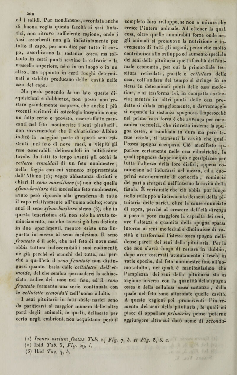 20 a eil i solidi. Pur nondimeno, accordata anche di buona voglia questa facoltà ai vasi linfa¬ tici, non ritrovo sufficiente cagione, onde i vasi assorbenti non già indistintamente per tutto il capo, per non dire per lutto il cor¬ po, assorbiscano la sostanza ossea, ma sol¬ tanto in certi punti scavino la calvarie e la mascella superiore, nè o in un luogo o in un altro, ma appunto in certi luoghi determi¬ nali e stabiliti producano delle cavità nelle ossa del capo. Ma però, ponendo da un lato queste di¬ squisizioni e dubbiezze, non posso non re¬ stare grandemente sorpreso, che anche i più recenti scrittori di osteologia insegnino come un fatto certo e provalo, essere affatto man¬ canti nel telo nonimestre i seni piluilarii , non sovvenendosi che il chiarissimo Albino indicò la maggior parte di questi seni esi¬ stenti nel feto di nove mesi, e viepiù gli rese osservabili delineandoli in nitidissime tavole. In fatti io tengo aranti gli occhi le cellette etmoidali di un feto nonimestre , nella fog già con cui vennero rappresentale dall’Albino (i); veggo abbastanza distinti e chiari il seno massiilare {2) non che quello sfeno-basilare del medesimo feto nonimestre, avuto però riguardo alla grandezza di tutto il capo relativamente all’ uomo adulto; scorgo anzi il seno sfeno-basilare stesso (3), che in questa tenerissima età non solo ha avuto co- minciamenlo, ma che trovasi già ben distinto in due sparlimenli, mentre esiste una lin¬ guetta in mezzo al seno medesimo. Il seno frontale è il solo, che nel feto di nove mesi abbia tu Itora indiscernibili i suoi rudimenti; «è già perchè ei manchi del lutto, ma per¬ chè a quell’età il seno frontale non disti n— guesi quanto basta dalle cellulette dell'et¬ moide, del che sembra persuaderci la schiac¬ ciala radice del naso nel feto, ed il seno frontale formante una serie continuala con le cellulette etmoidali nell’uomo adulto. I seni pituitarii in fatti delle narici sono da parificarsi al maggior numero delle altre parli degli animali, le quali, delineate per certo negli embrioni, non acquistano però il completo loro sviluppo, se non a misura che cresce l’intero animale. Ad ottener la qual cosa, oltre quelle ammirabili forze onde ne¬ gli animali si promuove la nutrizione e in¬ cremento di tutti gli organi, penso che mollo contribuisca allo sviluppo ed aumentospeciale dei seni della pituitaria quella facoltà dell’ani¬ male economia , per cui la primordiale tes¬ situra reticolata, gracile e cellulosa delle ossa, coll’audare del tempo si stringe in se stessa iti determinali punti delle ossa mede¬ sime, e si trasforma ivi, in compatta cortec¬ cia; mentre in altri punti delle ossa pre¬ dette si dilata maggiormente, e davvantaggio si espande in sostanza spugnosa. Imperocché nel primo caso forza è che avvenga per mec¬ canica necessità, che ristretta insieme la spu¬ gna ossea, e cambiata in dura ma però te¬ nue crosta, si aumenti la cavità che quel- 1 ossea spugna occupava. Ciò manifesto ap¬ parisce certamente nelle ossa cilindriche, le quali spugnose dapprincipio e gossipiacee per tutta l’altezza della loro diafìsi, appena co¬ minciano ad indurarsi nel mezzo, ed a cuo- prirsi esteriormente di corteccia , comincia del pari a scorgersi nell’interno la cavità della fìstola. È verisimile che ciò abbia pur luogo nello sviluppo e incremento dei seni della pi¬ tuitaria delle narici, oltre le cause enunciale di sopra, perchè al crescere dell’età divenga a poco a poco maggiore la capacità dei seni, ove l’altezza e quantità della spugna sparsa intorno ai seni medesimi e diminuisce di va¬ stità e trasformasi l’istessa ossea spugna nelle dense pareti dei seni della pituitaria. Perlo che non s’avrà luogo di restare in dubbio, dopo aver osservali attentamente i teschj in varie epoche, dal feto nonimestre fino all’uo¬ mo adulto , nei quali è manifestissimo che l’ampiezza dei seni della pituitaria sta in ragione inversa con la quantità della spugna ossea e della cellulosa ossea sostanza , dalla quale nel feto sono attorniate quelle cavità. A queste cagioni poi promoventi l’incre¬ mento dei seni della pituitaria, le quali mi piace di appellare primarie, penso poterne aggiungere altre cui darò nome di seconda- (1) Icones ossium foelus Tvb. 2. Fig. 7, b. et Fig. 5, b. c. (2) Ibid Tab. 5, Fig. 2<), i. (3) Jbid Tao. 4, h.