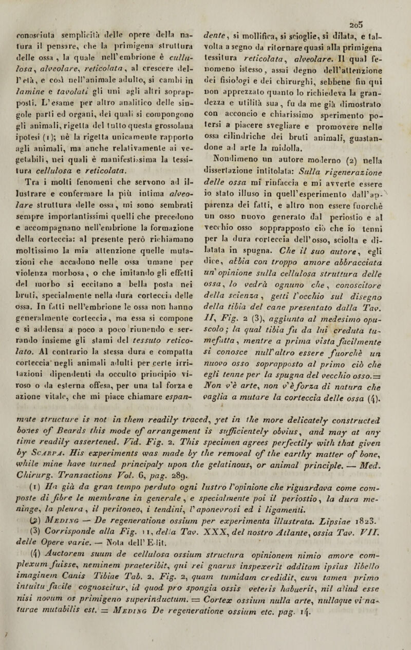 conosciuta semplicità «Ielle opere della na¬ tura i! pensare, che la primigena struttura delle ossa, la quale nell’embrione è culi ti¬ fosa , alveolare, reticolata, al crescere del- lVtà, e così nell’animale adulto, si cambi in lamine c tavolati gli uni agli altri soprap¬ posti. L’esame per altro analitico delle sin¬ gole parti ed organi, dei quali si compongono gli animali, rigetta «lei tulio questa grossolana ipotesi (i); nè la rigetta unicamente rapporto agli animali, ma anche relativamente ai ve¬ getabili, nei quali è manifestissima la tessi¬ tura cellulosa e reticolata. Tra i molti fenomeni che servono ad il¬ lustrare e confermare la più intima alveo¬ lare struttura delle ossa, mi sono sembrali sempre importantissimi quelli che precedono e accompagnano nell’embrione la formazione della corteccia: al presente però richiamano moltissimo la mia attenzione quelle muta¬ zioni che accadono nelle ossa umane per violenza morbosa, o che imitandogli effetti del morbo si eccitano a bella posta nei bruti, specialmente nella dura corteccia delle ossa. In fatti nell’embrione le ossa non hanno generalmente corteccia, ma essa si compone e si addensa a poco a poco riunendo e ser¬ rando insieme gli stami del tessuto retico¬ lato. Al contrario la stessa dura e compatta corteccia’negli animali adulti per certe irri¬ tazioni dipendenti da occulto principio vi- roso o <la esterna offesa, per una tal forza e azione vitale, che mi piace chiamare espan- 2o5 dente, si mollifica, si scioglie, si dilata, e tal¬ volta a segno da ritornare quasi alla primigena tessitura reticolata, alveolare. Il qual fe¬ nomeno islesso, assai degno dell’attenzione dei fisiologi e dei chirurghi, sebbene fin qui non apprezzato quanto lo richiedeva la gran¬ dezza e utilità sua, fu da me già dimostrato con acconcio e chiarissimo sperimento po¬ tersi a piacere svegliare e promovere nelle ossa cilindriche dei bruti animali, guastan¬ done ad arte la midolla. Nondimeno un autore moderno (2) nella dissertazione intitolata: Sulla rigenerazione delle ossa mi rinfaccia e mi avverte essere io stato illuso in quell’esperimento dall’ap¬ parenza dei fatti, e altro non essere fuorché un osso nuovo generalo dal periostio e al vecchio osso sopprapposto ciò che io tenni per la dura corteccia dell’osso, sciolta e di¬ latata in spugna. Che il suo autore, egli dice, abbia con troppo amore abbracciata un opinione sulla cellulosa struttura delle ossa, lo vedrà ognuno che, conoscitore della scienza , getti Vocchio sul disegno della tibia del cane presentato dalla Tav. H, Fig. 2 (3), aggiunta al medesimo opu¬ scolo ; la qual tibia fu da lui creduta tu- mefatta, mentre a prima vista facilmente si conosce nulValtro essere fuorché uri nuovo osso soprapposto al primo ciò che egli tenne per la spugna del vecchio osso. = Non ve arte, non v'èforza di natura che vaglia a mutare la corteccia delle ossa (4). 4 mate structure is not in them readily traced, yet in thè more delicately constructed bones of Beards this mode of arrangement is sufficientely obvius, and may at any time readily assertened. Vid. Fig. 2. This specimen agrees perfectily with that given by Scarta. His experiments was made by thè removai of thè eartliy matler of bone, while mine bave lurned principaly upon thè gelati nous, or animai principle. — Med. Chirurg. Transactions Voi. 6, pag. 289. ( 1 ) Ha già da gran tempo perduto ogni lustro l'opinione che riguardava come com¬ poste di fibre le membrane in generale , e specialmente poi il periostio, la dura me¬ ninge, la pleura , il peritoneo, i tendini, V aponevrosi ed i ligamenli. C?) Meding — De regeneratione ossium per experimenta illustrata. Lipsiae 1823. (3) Corrisponde alla Fig. 11 .della Tav. XXX, del nostro Atlante, ossia Tav. VII. delle Opere varie. — Nota dell’ E lit. (4) Auctorem suuni de cellulosa ossium structura opinionem nimio amore com- plexum fuisse, neminem praeleribit, qui rei gnarus inspexerit additam ipsius libello imaginetn Canis Tibiae Tab. 2. Fig. 2, quam tumidarn credidit, cuoi tamen primo intuita facile cognoscitur, id quod prò spongia ossis veteris habuerit, nil aliud esse nisi novum os prinugeno superinductum. = Cortex ossium nulla arte, nullaque vi na- turae mutabilis est. = Medi kg De regeneratione ossium etc. pag. i\. ;