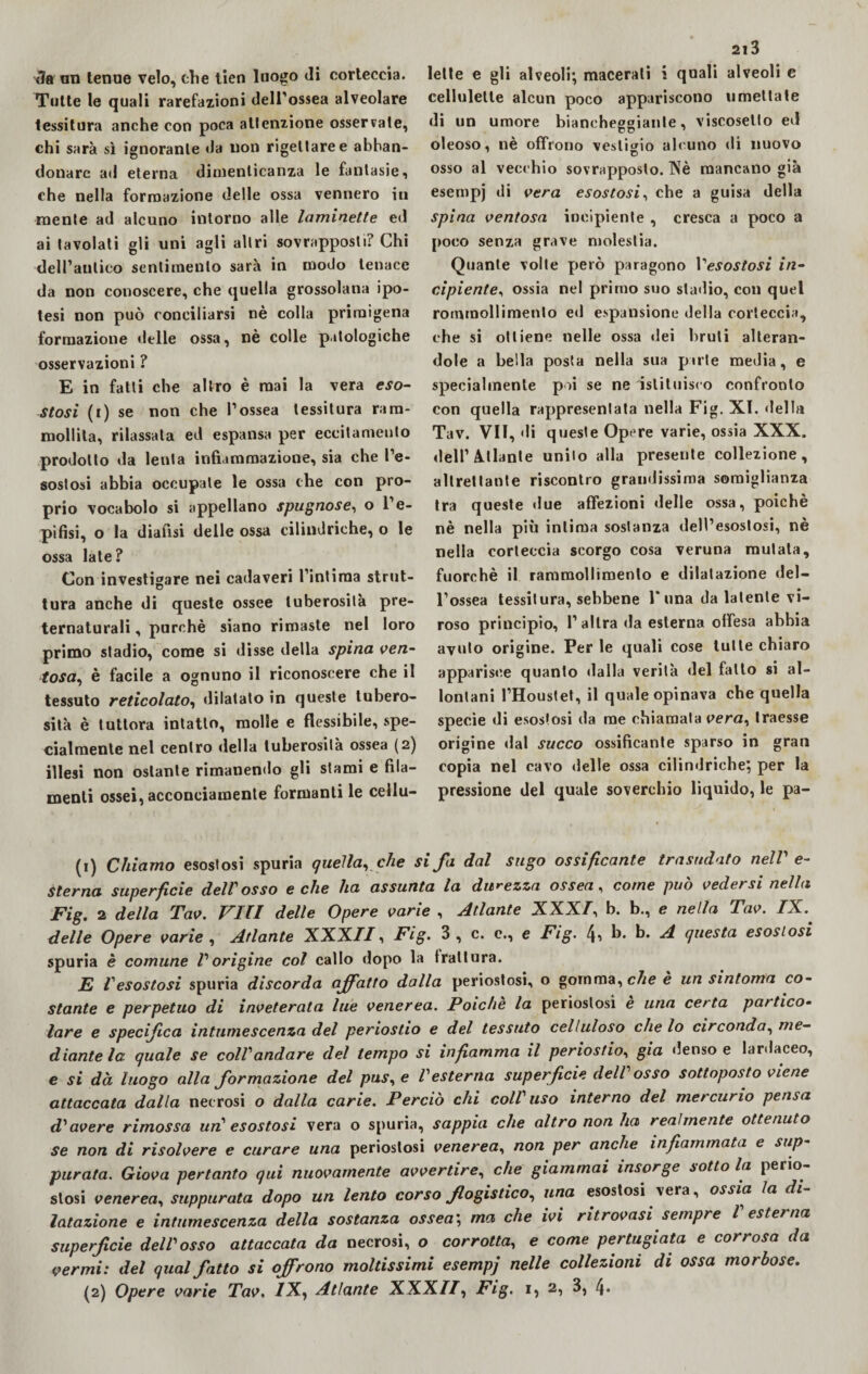 3a un tenue velo, che tien luogo di corteccia. Tutte le quali rarefazioni dell’ossea alveolare tessitura anche con poca attenzione osservate, chi sarà sì ignorante da non rigettare e abban¬ donare ad eterna dimenticanza le fantasie, che nella formazione delle ossa vennero in niente ad alcuno intorno alle laminette ed ai tavolati gli uni agli altri sovrapposti? Chi dell’antico sentimento sarà in modo tenace da non conoscere, che quella grossolana ipo¬ tesi non può conciliarsi nè colla primigena formazione delle ossa, nè colle patologiche osservazioni ? E in fatti che altro è mai la vera eso¬ stosi (r) se non che l’ossea tessitura ram¬ mollita, rilassala ed espansa per eccitamento prodotto da leula infiammazione, sia che l’e¬ sostosi abbia occupale le ossa che con pro¬ prio vocabolo si appellano spugnose, o l’e¬ pifisi, o la dialisi delle ossa cilindriche, o le ossa late? Con investigare nei cadaveri l’intima strut- tura anche di queste ossee tuberosità pre¬ ternaturali , purché siano rimaste nel loro primo stadio, come si disse della spina ven¬ tosa, è facile a ognuno il riconoscere che il tessuto reticolato, dilatato in queste tubero¬ sità è tuttora intatto, molle e flessibile, spe¬ cialmente nel centro della tuberosità ossea (2) illesi non ostante rimanendo gli stami e fila¬ menti ossei, acconciamente formanti le cellu- 2l3 lette e gli alveoli; macerati i quali alveoli c cellulelte alcun poco appariscono umettate di un umore biancheggiante, viscoselto ed oleoso, nè offrono vestigio alcuno di nuovo osso al vecchio sovrapposto. Nè mancano già esempj di vera esostosi, che a guisa della spina ventosa incipiente , cresca a poco a poeo senza grave molestia. Quante volte però paragono Vesostosi in¬ cipiente, ossia nel primo suo stadio, con quel rommollimento ed espansione della corteccia, che si ottiene nelle ossa «lei bruti alteran¬ dole a bella posta nella sua parte media, e specialmente poi se ne 'istituisco confronto con quella rappresentata nella Fig. XI. della Tav. VII, «li queste Opere varie, ossia XXX. dell’Aliante unito alla presente collezione, altrettante riscontro grandissima somiglianza tra queste due affezioni delle ossa, poiché nè nella piò intima sostanza dell’esostosi, nè nella corteccia scorgo cosa veruna mutala, fuorché il rammollimento e dilatazione del¬ l’ossea tessitura, sebbene 1’una da latente vi- roso principio, l’altra da esterna offesa abbia avuto origine. Per le quali cose tutte chiaro apparisce quanto dalla verità del fatto si al¬ lontani l’Houstet, il quale opinava che quella specie di esostosi da me chiamata vera, traesse origine «lai succo ossificante sparso in gran copia nel cavo «Ielle ossa cilindriche; per la pressione del quale soverchio liquido, le pa- (1) Chiamo esostosi spuria quella, che si fa dal sugo ossificante trasudato nell’ e- Sterna superficie dell'osso e che ha assunta la durezza ossea, come può vedersi nella Fig. 2 della Tav. VIU delle Opere varie , Atlante XXXI, b. b., e nella Tav. IX. delle Opere varie , Atlante XXXII, Fig. 3 , c. c., e Fig. b. b. A questa esostosi spuria è comune l'origine col callo dopo la trattura. E l'esostosi spuria discorda affatto dalla periostosi, o gomma, che è un sintomo co¬ stante e perpetuo di inveterata lue venerea. Poiché la periostosi è una certa partico¬ lare e specifica intumescenza del periostio e del tessuto celluloso che lo circonda, me¬ diante la quale se coll'andare del tempo si infiamma il periostio, già «lenso e lardaceo, e si dà luogo alla formazione del pus, e Vesterna superficie dell osso sottoposto viene attaccata dalla necrosi o dalla carie. Perciò chi coll'uso interno del mercurio pensa d'avere rimossa un' esostosi vera o spuria, sappia che altro non ha realmente ottenuto se non di risolvere e curare una periostosi venerea, non per anche infiammata e sup¬ purata. Giova pertanto qui nuovamente avvertire, che giammai insorge sotto la perio- slosi venerea, suppurata dopo un lento corso flogistico, una esostosi vera, ossia la di lutazione e intumescenza della sostanza ossea; ma che ivi ritrovasi sempre l esterna superficie dell'osso attaccata da necrosi, o corrotta, e come pertugiata e corrosa da vermi: del qual fatto si offrono moltissimi esempj nelle collezioni di ossa morbose.