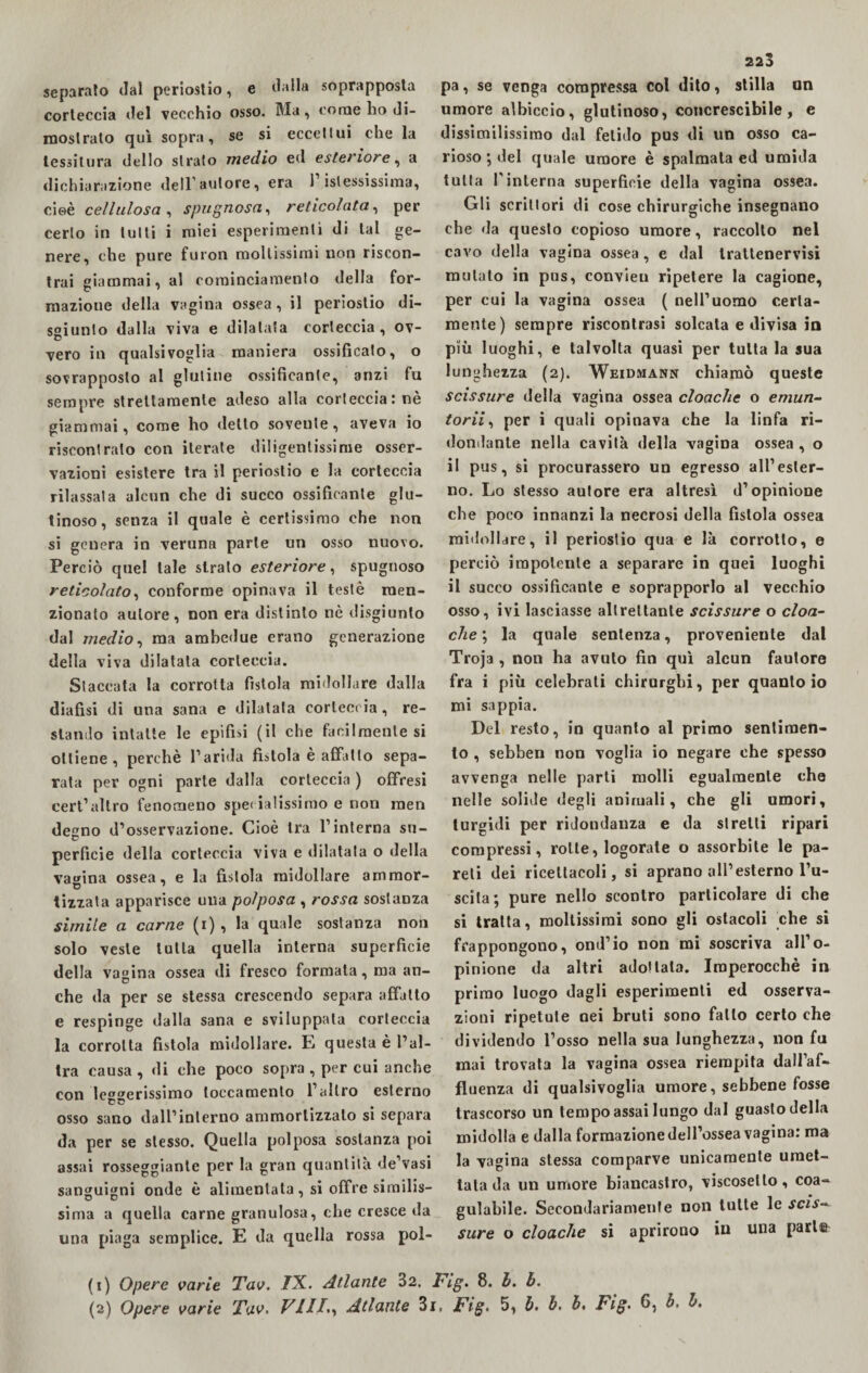 separalo dal periostio, e dalla soprapposta corteccia del vecchio osso. Ma, come lio di¬ mostrato qui sopra, se si eccettui che la tessitura dello strato medio ed esteriore, a dichiarazione dell’autore, era 1 ^stessissima, cioè cellulosa , spugnosa, reticolata, per certo in tutti i miei esperimenti di tal ge¬ nere, che pure furon moltissimi non riscon¬ trai giammai, al cominciamento della for¬ mazione della vagina ossea, il periostio di¬ sgiunto dalla viva e dilatata corteccia, ov- vero in qualsivoglia maniera ossificalo, o sovrapposto al glutine ossificante, anzi fu sempre strettamente adeso alla corteccia: nè giammai, come ho detto sovente, aveva io riscontrato con iterate diligentissime osser¬ vazioni esistere tra il periostio e la corteccia rilassata alcun che di succo ossificante glu¬ tinoso, senza il quale è certissimo che non si genera in veruna parte un osso nuovo. Perciò quel tale strato esteriore, spugnoso reticolato, conforme opinava il testé men¬ zionato autore, non era distinto nè disgiunto dal viedio, ma ambedue erano generazione della viva dilatata corteccia. Staccata la corrotta fistola midollare dalla diafisi di una sana e dilatala corteccia , re¬ stando intatte le epifisi (i! che facilmente si ottiene, perchè l’arida fistola è affatto sepa¬ rata per ogni parte dalla corteccia ) offresi cert’altro fenomeno specialissimo e non raen degno d’osservazione. Cioè Ira l’interna su¬ perficie della corteccia viva e dilatata o della vagina ossea, e la fìstola midollare ammor- tizzata apparisce una polposa , rossa sostanza simile a carne (r) , la quale sostanza non solo veste tutta quella interna superficie della vagina ossea di fresco formata, ma an¬ che da per se stessa crescendo separa affatto e respinge dalla sana e sviluppala corteccia la corrotta fistola midollare. E questa è l’al¬ tra causa, di che poco sopra, per cui anche con IeOCTerissimo toccamento l’altro esterno osso sano dall’interno ammortizzalo si separa da per se stesso. Quella polposa sostanza poi assai rosseggiante per la gran quantità de’vasi sanguigni onde è alimentata , si offre similis¬ sima a quella carne granulosa, che cresce da una piaga semplice. E da quella rossa pol¬ 223 pa, se venga compressa col dito, stilla un umore albiccio, glutinoso, concrescibile, e dissimilissimo dal fetido pus di un osso ca¬ rioso ; del quale umore è spalmata ed umida tutta l’interna superficie della vagina ossea. Gli scrittori di cose chirurgiche insegnano che da questo copioso umore, raccolto nel cavo della vagina ossea, e dal Irattenervisi mutalo in pus, convieu ripetere la cagione, per cui la vagina ossea ( nell’uomo certa¬ mente) sempre riscontrasi solcata e divisa in più luoghi, e talvolta quasi per tutta la sua lunghezza (2). Weidmann chiamò queste scissure della vagina ossea cloache o emun- torii, per i quali opinava che la linfa ri¬ dondante nella cavità della vagina ossea, o il pus, si procurassero un egresso all’ester¬ no. Lo stesso autore era altresì d’opinione che poco innanzi la necrosi della fistola ossea midollare, il periostio qua e là corrotto, e perciò impotente a separare in quei luoghi il succo ossificante e soprapporlo al vecchio osso, ivi lasciasse altrettante scissure o cloa¬ che ; la quale sentenza, proveniente dal Troja , non ha avuto fin qui alcun fautore fra i più celebrati chirurghi, per quanto io mi sappia. Del resto, in quanto al primo sentimen¬ to , sebben non voglia io negare che spesso avvenga nelle parti molli egualmente che nelle solide degli animali, che gli umori, turgidi per ridondanza e da stretti ripari compressi, rotte, logorate o assorbite le pa¬ reti dei ricettacoli, si aprano all’esterno l’u¬ scita; pure nello scontro particolare di che si tratta, moltissimi sono gli ostacoli che si frappongono, ond’io non mi soscriva all’o¬ pinione da altri adottala. Imperocché in primo luogo dagli esperimenti ed osserva¬ zioni ripetute nei bruti sono fallo certo che dividendo l’osso nella sua lunghezza, non fa mai trovata la vagina ossea riempita dall’af¬ fluenza di qualsivoglia umore, sebbene fosse trascorso un tempo assai lungo dal guasto della midolla e dalla formazione dell’ossea vagina: ma la vagina stessa comparve unicamente umet¬ tata da un umore biancastro, viscosello, coa¬ gulabile. Secondariamente non tutte le scis¬ sure o cloache si aprirono in una pari© (1) Opere varie Tav. TX. Atlante 32. Fig. 8. h. b.