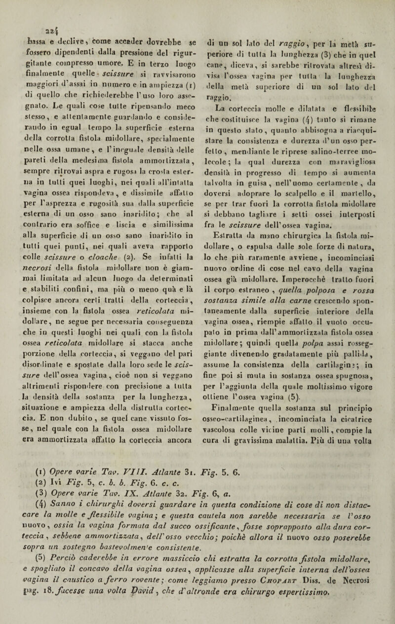 22\ bassa e declive -> come accader dovrebbe se fossero dipendenti dalla pressione del rigur¬ gitante compresso umore. E in terzo luogo finalmente quelle • scissure si ravvisarono maggiori d’assai in numero e in ampiezza (r) di quello che richiederebbe l’uso loro asse¬ gnato. Le quali cose tutte ripensando meco stesso, e attentamente guardando e conside¬ rando in egual tempo la superficie esterna della corrotta fistola midollare, specialmente nelle ossa umane, e l’ineguale densità delle pareli della medesima fìstola ammortizzala, sempre ritrovai aspra e rugosa la crosta ester¬ na in tutti quei luoghi, nei quali all’intatta vagina ossea rispondeva, e dissimile affatto per l’asprezza e rugosità sua dalla superficie esterna di un osso sano inaridito; che al contrario era soffice e liscia e similissima alla superficie di un osso sano inaridito in tutti quei punti, nei quali aveva rapporto colle scissure o cloache (2). Se infatti la necrosi della fistola midollare non è giam- mai limitala ad alcun luogo da determinati e stabiliti confini, ma più o meno quà e là colpisce ancora certi tratti della corteccia, insieme con la fistola ossea reticolata mi¬ dollare, ne segue per necessaria conseguenza che in questi luoghi nei quali con la fistola ossea reticolata midollare si stacca anche porzione della corteccia, si veggano del pari disordinale e spostate dalla loro sede le scis¬ sure dell’ossea vagina, cioè non si veggano altrimenti rispondere con precisione a tutta la densità della sostanza per la lunghezza, situazione e ampiezza della distrutta cortec¬ cia. E non dubito , se quel cane vissuto fos¬ se, nel quale con la fistola ossea midollare era ammortizzata affatto la corteccia ancora di un sol Iato del raggio, per la metà su¬ periore di tutta la lunghezza (3) che in quel cane, diceva, si sarebbe ritrovala altresì di¬ visa l'ossea vagina per tutta la lunghezza della metà superiore di un sol lato del raggio. La corteccia molle e dilatala e flessibile che costituisce la vagina (4) tanto si rimane in questo stato, quanto abbisogna a riacqui¬ stare la consistenza e durezza d’un osso per¬ fetto, raendiante le riprese salino-terree mo¬ lecole; la qual durezza con maravigliosa densità in progresso di tempo si aumenta talvolta in guisa, nell’uomo certamente, da doversi adoprare Io scalpello e il martello, se per trar fuori la corrotta fistola midollare si debbano tagliare i setti ossei interposti fra le scissure dell’ossea vagina. Estratta da mano chirurgica la fistola mi¬ dollare, o espulsa dalle sole forze di natura, 10 che più raramente avviene , incominciasi nuovo ordine «li cose nel cavo della vagina ossea già midollare. Imperocché tratto fuori 11 corpo estraneo , quella polposa e rossa sostanza simile alla carne crescendo spon¬ taneamente dalla superfìcie interiore della vagina ossea, riempie affatto il vuoto occu¬ pato in prima dall’ammortizzala fistola ossea midollare; quindi quella polpa assai rosseg¬ giante divenendo gradatamente più pallida, assume la consistenza della cartilagini; in fine poi si muta in sostanza ossea spugnosa, per l’aggiunta della quale mollissimo vigore ottiene l’ossea vagina (5). Finalmente quella sostanza sul principio osseo-carlilaginea, incominciala la cicatrice vascolosa colle vicine parti molli, compie la cura di gravissima malattia. Più di una volta (1) Opere varie Tav. Vili. Atlante 31. Fig. 5. 6. (2) Ivi Fig. 5, c. b. b. Fig. 6. c. c. (3) Opere varie Tav. IX. Atlante 32. Fig. 6, a. (4) Sanno i chirurghi doversi guardare in questa condizione di cose di non distac¬ care la molle e flessibile vagina ; e questa cautela non sarebbe necessaria se Posso nuovo, ossia la vagina formata dal succo ossificante ^ fosse soprapposto alla dura cor-, feccia , sebbene ammortizzata, dell osso vecchio; poiché allora il nuovo osso poserebbe sopra un sostegno bastevo/men'e consistente. (5) Perciò cederebbe in errore massiccio chi estratta la corrotta fistola midollare, e spogliato il concavo della vagina ossea, applicasse alla superficie interna dell'ossea vagina il caustico a ferro rovente ; come leggiamo presso Chopart Diss. de Necrosi pag. 18. facesse una volta David, che d'altronde era chirurgo espertissimo.