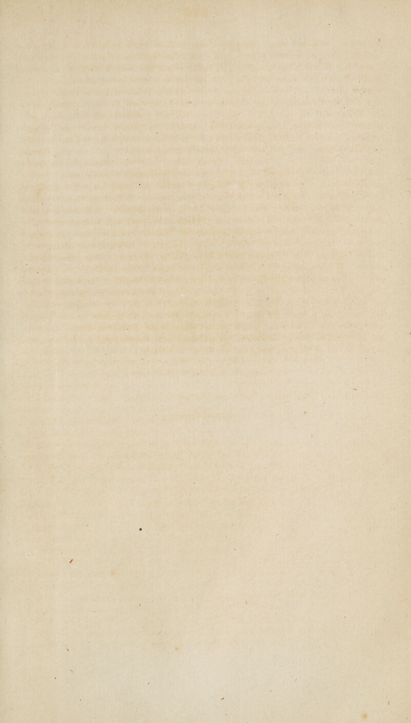 / 1 ✓ \ / ► s *1 *■