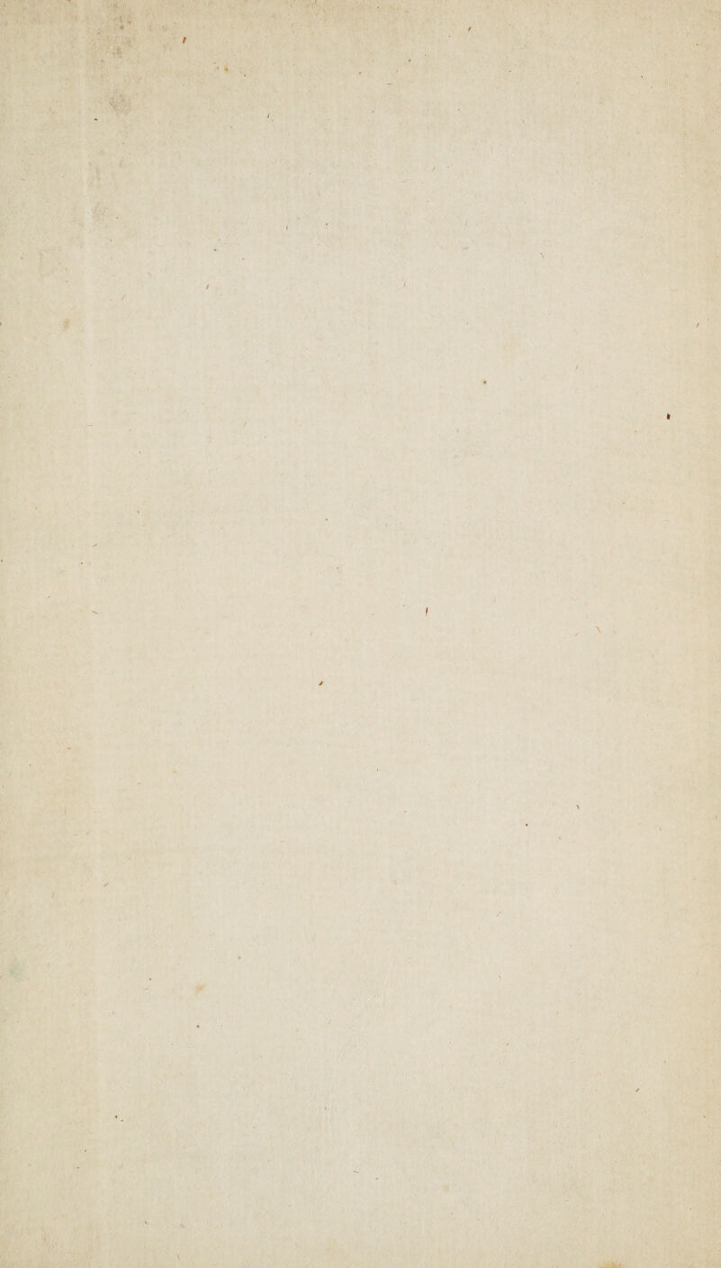 .# / / I ' V \ I I . d