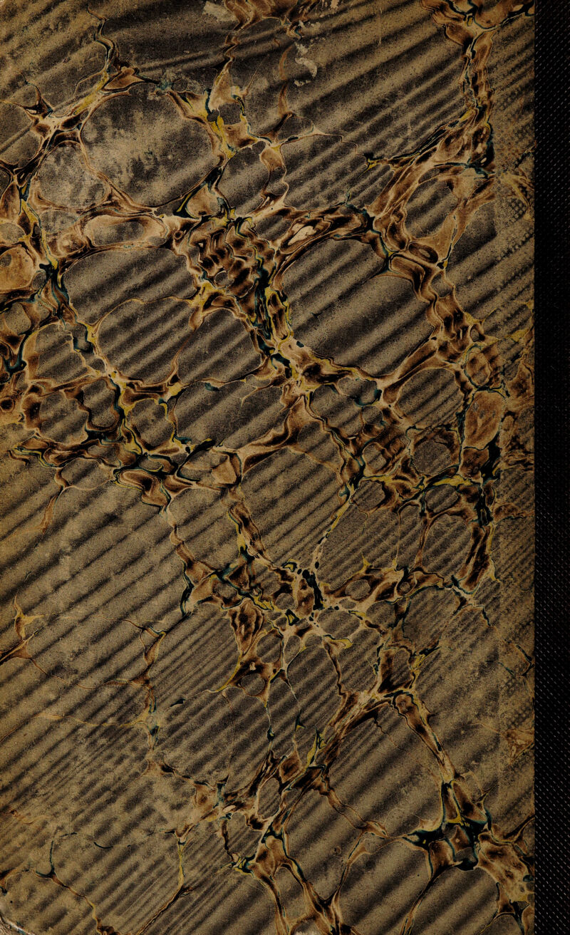 mmm* 3 • n*pJKF‘ JKr*« '■*' DK* i r %&mw jP' ■Jpr 1 •0/ ,.ä ■. i