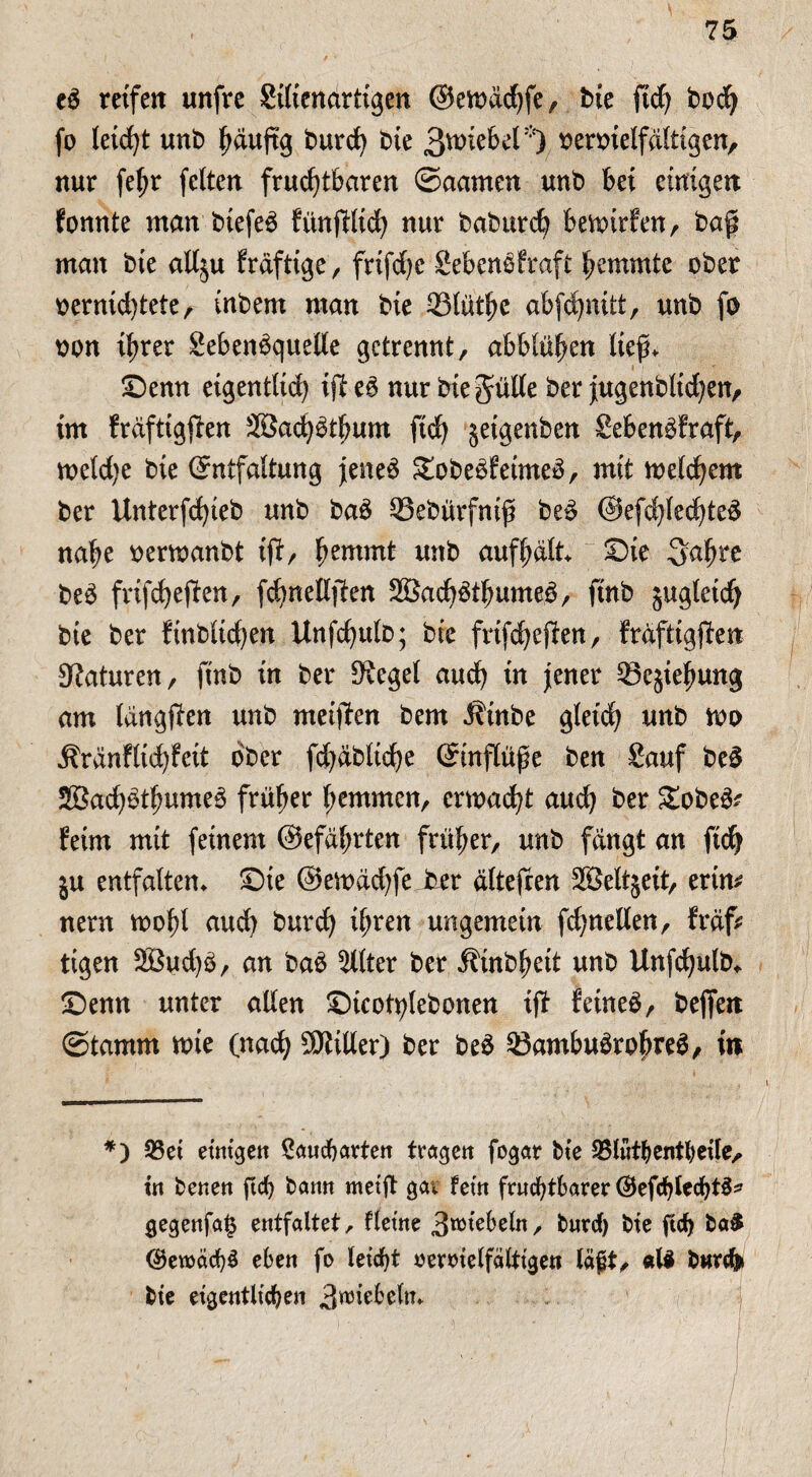 e$ reifen anfre Silienartigen ©emddjfe, bie fid) bod^ fo leicht unb hdujtg burdj bie 3tt>ie6d*) oeroielfdltigen, nur fe^r feiten fruchtbaren ©aamen unb bei einigen fonnte man btefeä fünfilich nur baburch bemtrfen, baf man bte allju fräftige r frifdje £eben$fraft hemmte ober oernidjtete, inbem man bte Slüthe abf^nitt, unb fo oon ihrer SebemSquelle getrennt, abblühen lieft* ©enn eigentlich ijle6 nur btegülle ber jugenbltdjen, im frdftigften SBachbthum ftdj jeigenben Sebenbfraft, meldje bte (Entfaltung jenes £obebfetme3, mit welchem ber Unterfdjteb unb ba$ ©ebürfnifl be3 ©efdjledfteä nahe oerwanbt ijf, hemmt unb aufhdlt* Sie Sabre be$ frifchefien, fd^neEfiten 2Bach$tbume3, ftnb jugletch bie ber finblichen Unfchitlb; bte frifchejten, frdftigjlen Naturen, ftnb in ber Siegel auch in jener 33ejtehung am langten unb meinen bem 3?inbe gleich unb wo Ärdnfltd)fett ober fdjdbltche (Einflüge ben Sauf be£ Sachothume^ früher hemmen, ermaßt auch ber Sobe^ feint mit feinem ©efdhrten früher, unb fangt an ftdj ju entfalten* ©ie ©ewadjfeJoer dltejren 2öelt§eit, ertrn nern wohl audj burdj ihren ungemein fchnellen, frdf* ttgen äöudjb, an bab Filter ber Äinbheit unb itnfchulb* ©enn unter allen ©icotylebonen if? fetneb, beffen ©tamm wie (nach 5Blttler) ber beä 93ambu$roj>re3, tit *) 23ei einigen Saucharten tragen fogat bie SBlüthentheile, in benen ftdf) bann weift gar fein fruchtbarer (SefchlechtS* gegenfa($ entfaltet, flet'ne 3rciebeln, burcf) bie ftcf> ba$ <3}en>äcb$ eben fo leicht »eroielfältigen lägt, «U bwrdfr bie eigentlichen 3W5iebeln* /