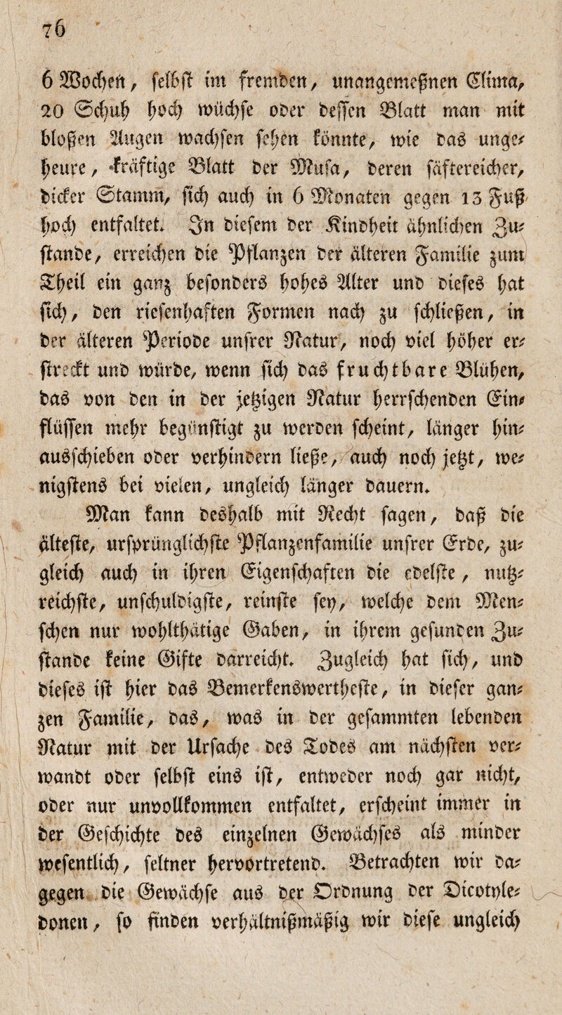 ?6 öSBochett, fef&ft im frcmben, unangemepnen ßltma, 20 @d)ub i)oä] müd)fe ober beffcn blatt man mit bloßen ^ugen mad)fen fe^en fbunte, tote baä unge^ beure, kräftige blatt ber SSWufa, bereu fäftereicher, bicfcr Stamm, ftd) and) tu 6 ÜRonaten gegen 13%K$ bod) entfaltet 3n biefern ber Äinbbeit abnltdtcn 3u' ffanbe, erreichen bie ^Pflanjen ber alteren gamtlte jum Zfynl ein ganj befonber$ bofteä Filter unb btefeb I;at ftd), beu rtefenbaften formen nad) fd)liefen, in ber alteren ^ertobe unfrer Sfcttur, noch btel bbber er* ßrecft xmb mürbe, menn ftd) bab frud)tbare blühen, bab oon ben in ber jetzigen 9?atur b^fdtenben (5tm flüjfen mehr begünftigt 51t meroen fcheint, langer \jm au$fd)ieben ober oerbmbern ließe, and) nod) je(3t, me* ntgftenb bet fielen, ungleich langer bauern. Sftan fann bebbalb mit Stecht fagen, bap bte alteße, urfprünglid)fte ^Jflanjenfamilte unfrer Grrbe, ju* gleich auch tu ihren ©genfd)afmt bte ebelf e, nug* retd)ße, unfchulbigfte, retnfte fet), meld)e bem 9Ren* fd)en nur mobltf)dtige Oaben, in ihrem gefunben 3«' ftanbe feine @ifte barretdjt 3u3^ch M ftd), unb btefc$ iß fyitx ba3 bemerfen^mertbefte, in biefer gan* jen gmmtlte, ba£, ma$ in ber gefammten lebenben SRatur mit ber Urfacbe be3 &obeö am nad)ften oer* manbt ober felbjt ein# tff, entmeber nod) gar nicht, ober nur unoollfommen entfaltet, erfcheint immer in ber @efd)td)te be3 einzelnen @emdd)fc$ ate mtnber mcfentlid), feltner bewortretenb. betrachten mir ba* gegen bte ©emächfe auä ber ©rbnung ber £)tcott)(e* bonett, fo ftnben oerbdltmpmdptg mir btefe ungleid)