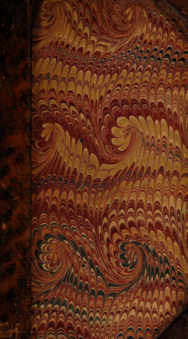 No text description is available for this image