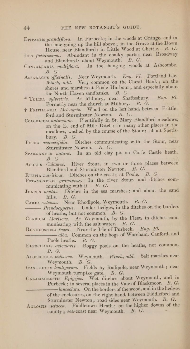 Epreactis grandiflora. In Purbeck; in the woods at Grange, and in the lane going up the hill above ; in the Grove at the Down House, near Blandford ; in Little Wood at Chettle. 2B. G. Iris fetidissima. Abundant in the chalky parts; near Broadway and Blandford; about Weymouth. 2B. G. ConvaLLarta multiflora. In the hanging woods at Ashcombe. Bo Gs Asparacus officinalis. Near Weymouth. ng. Fl. Portland Isle. Winch, add. Very common on the Chesil Bank; on the shores and marshes at Poole Harbour ; and especially about the North Haven sandbanks. 2B. G. * Tuxira sylvestris. At Milbury, near Shaftesbury. Eng. F L. Formerly near the church at Milbury. 2B. G. + Frirmraria Meleagris. Wood on the left hand, between Frittle- ford and Sturminster Newton. B. G. Cotcnicum autumnale. Plentifully in St. Mary Blandford meadows, on the E. end of Mile Ditch; in many other places in the meadows, washed by the course of the Stour; about Spetis- bury, B&amp;B. G. Tyrna angustifolia. Ditches communicating with the Stour, near Sturminster Newton. JB. G. Sparcanium natans. In an old clay pit on Corfe Castle heath. BGs Acorus Calamus. River Stour, in two or three places between Blandford and Sturminster Newton. JB. G. Ruppia maritima. Ditches on the coast; at Poole. 2B. G. Poramocrton gramineus. In the river Stour, and ditches com- municating with it. B. G. Juncus acutus. Ditches in the sea marshes; and about the sand hills. B. G. Carex extensa. Near Rhodipole, Weymouth. B. G. Pseudocyperus. Under hedges, in the ditches on the borders of heaths, but not common. B. G. Crapium Mariscus. At Weymouth, by the Fleet, in ditches com- municating with the salt water. B. G. Ruyycosrora fusca. Near the Isle of Purbeck. Eng. Fl. ——————— alba. Common on the bogs of Wareham, Canford, and Poole heaths. B. G. Exeocuaris acicularis. Boggy pools on the heaths, not common. B.. G. Atorecurus bulbosus. Weymouth. Winch, add. Salt marshes near Weymouth 2B. G. GasrripiuM lendigerum. Fields by Radipole, near Weymouth ; near Weymouth turnpike gate. B. G. Catamacrostis Epigejos. Wet ditches about Weymouth, and in Purbeck ; in several places in the Vale of Blackmoor. B. G. lanceolata. On the borders of the wood, and in the hedges of the enclosures, on the right hand, between Fiddleford and Sturminster Newton ; road-sides near Weymouth. B. G. Acrostis setacea. Piddletown Heath ; on the higher downs of the county ; sea-coast near Weymouth. 2B. G. - ———— ee ee