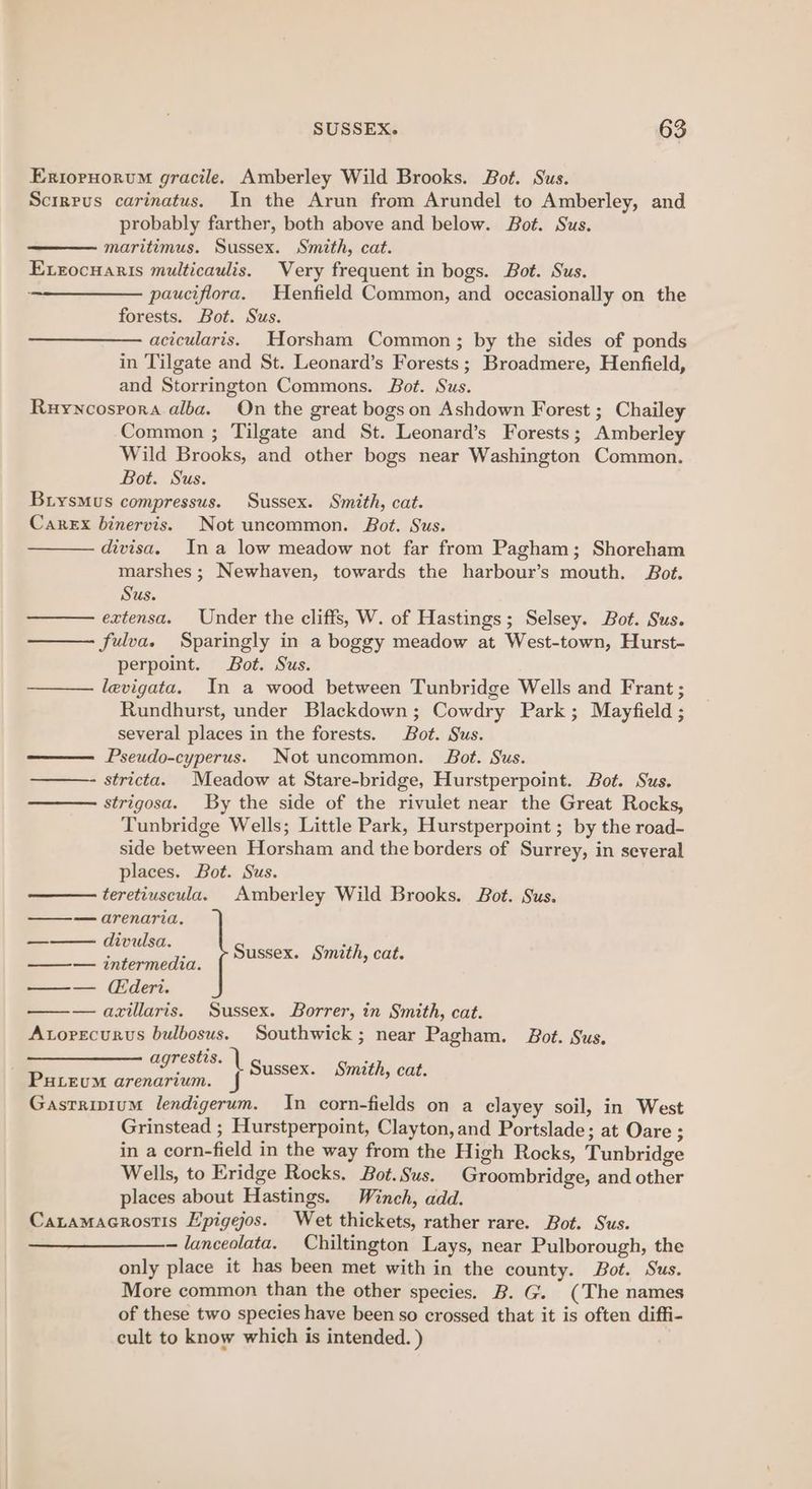 Erioryorum gracile. Amberley Wild Brooks. Bot. Sus. Scrrrus carinatus. In the Arun from Arundel to Amberley, and probably farther, both above and below. Bot. Sus. maritimus. Sussex. Smith, cat. Exrocuaris multicaulis. Very frequent in bogs. Bot. Sus. pauciflora. Henfield Common, and occasionally on the forests. Bot. Sus. acicularis. Horsham Common; by the sides of ponds in Tilgate and St. Leonard’s Forests; Broadmere, Henfield, and Storrington Commons. Bot. Sus. Ruyncosrora alba. On the great bogs on Ashdown Forest ; Chailey Common ; Tilgate and St. Leonard’s Forests; Amberley Wild Brooks, and other bogs near Washington Common. Bot. Sus. Brysmus compressus. Sussex. Smith, cat. Carex binervis. Not uncommon. Bot. Sus. divisa. Ina low meadow not far from Pagham; Shoreham marshes ; Newhaven, towards the harbour’s mouth. Bot. Sus. extensa. Under the cliffs, W. of Hastings; Selsey. Bot. Sus. fulva. Sparingly in a boggy meadow at West-town, Hurst- perpoint. Bot. Sus. levigata. In a wood between Tunbridge Wells and Frant ; Rundhurst, under Blackdown; Cowdry Park; Mayfield ; several places in the forests. Bot. Sus. Pseudo-cyperus. Not uncommon. Bot. Sus. stricta. Meadow at Stare-bridge, Hurstperpoint. Bot. Sus. strigosa. By the side of the rivulet near the Great Rocks, Tunbridge Wells; Little Park, Hurstperpoint ; by the road- side between Horsham and the borders of Surrey, in several places. Bot. Sus. teretiuscula. Amberley Wild Brooks. Bot. Sus. ——_—- arenarvia. = divulsa. 7 : F Sussex. Smith, cat. —_— intermedia. —_— (deri. — axillaris. Sussex. Borrer, in Smith, cat. Avorecurus bulbosus. Southwick; near Pagham. Bot. Sus. agrestis. | PuLEumM arenarium. | Gasrripium lendigerum. In corn-fields on a clayey soil, in West Grinstead ; Hurstperpoint, Clayton, and Portslade; at Oare ; in a corn-field in the way from the High Rocks, Tunbridge Wells, to Eridge Rocks. Bot. Sus. Groombridge, and other places about Hastings. Winch, add. Caramacrostis Epigejos. Wet thickets, rather rare. Bot. Sus. — lanceolata. _Chiltington Lays, near Pulborough, the only place it has been met with in the county. Bot. Sus. More common than the other species. B. G. (The names of these two species have been so crossed that it is often diffi- cult to know which is intended. )