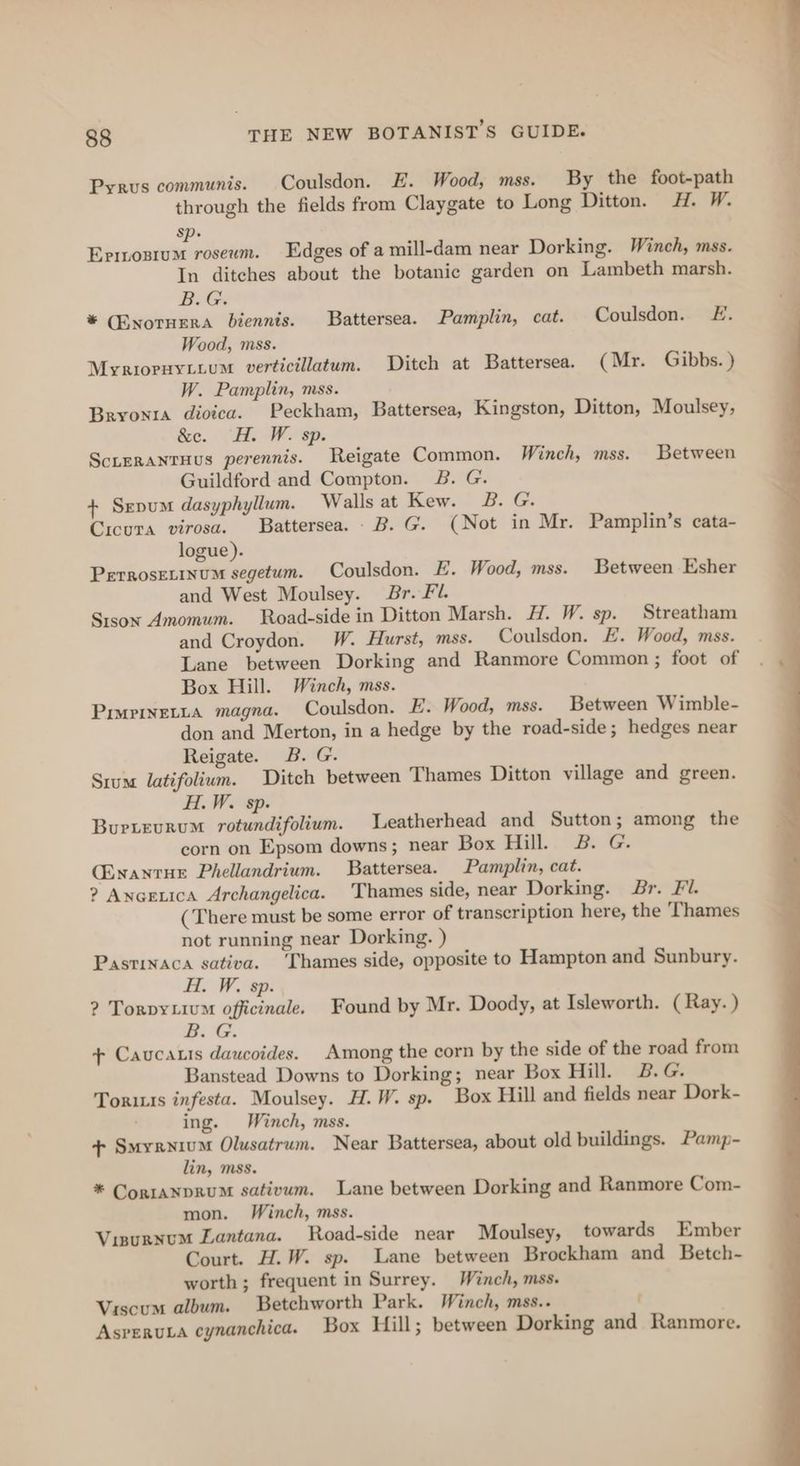 Pyrus communis. Coulsdon. E. Wood, mss. By the foot-path through the fields from Claygate to Long Ditton. H. W. sp. Eprosrum rosewm. Edges of a mill-dam near Dorking. Winch, mss. In ditches about the botanic garden on Lambeth marsh. B.G: * (Enotuera biennts. Battersea. Pamplin, cat. Coulsdon. E. Wood, mss. Myriopnyiium verticillatum. Ditch at Battersea. (Mr. Gibbs.) W. Pamplin, mss. Bryonza dioica. Peckham, Battersea, Kingston, Ditton, Moulsey, &amp;c. “H. W. sp. ScuerantHus perennis. Reigate Common. Winch, mss. Between Guildford and Compton. JB. G. + Sepum dasyphyllum. Walls at Kew. 8B. G. Cicura virosa. Battersea. B. G. (Not in Mr. Pamplin’s cata- logue). Perrosetinum segetum. Coulsdon. E. Wood, mss. Between Esher and West Moulsey. Br. Fl. Sison Amomum. Road-side in Ditton Marsh. H. W. sp. Streatham and Croydon. W. Hurst, mss. Coulsdon. E. Wood, mss. Lane between Dorking and Ranmore Common ; foot of Box Hill. Winch, mss. PimpinELLa magna. Coulsdon. E. Wood, mss. Between Wimble- don and Merton, in a hedge by the road-side; hedges near Reigate. B. G. Srum latifolium. Ditch between Thames Ditton village and green. H.W. sp. Burtevrum rotundifolium. Leatherhead and Sutton; among the corn on Epsom downs; near Box Hill. 2B. G. CEnantue Phellandrium. Battersea. Pamplin, cat. ? Anaetica Archangelica. Thames side, near Dorking. Br. Fl. (There must be some error of transcription here, the ‘Thames not running near Dorking. ) Pastinaca sativa. ‘Thames side, opposite to Hampton and Sunbury. H.W, ep: ? Torpytiu officinale. Found by Mr. Doody, at Isleworth. (Ray. ) B. G. + Caucaris daucoides. Among the corn by the side of the road from Banstead Downs to Dorking; near Box Hill. 2B. G. Toriuis infesta. Moulsey. H.W. sp. Box Hill and fields near Dork- ing. Winch, mss. + Smyrnium Olusatrum. Near Battersea, about old buildings. Pamp- lin, mss. * CorranpruM sativum. Lane between Dorking and Ranmore Com- mon. Winch, mss. Vinurnum Lantana. Road-side near Moulsey, towards Ember Court. H.W. sp. Lane between Brockham and Betch- worth; frequent in Surrey. Winch, mss. Viscum album. Betchworth Park. Winch, mss.. t Asrerua cynanchica. Box Hill; between Dorking and Ranmore.