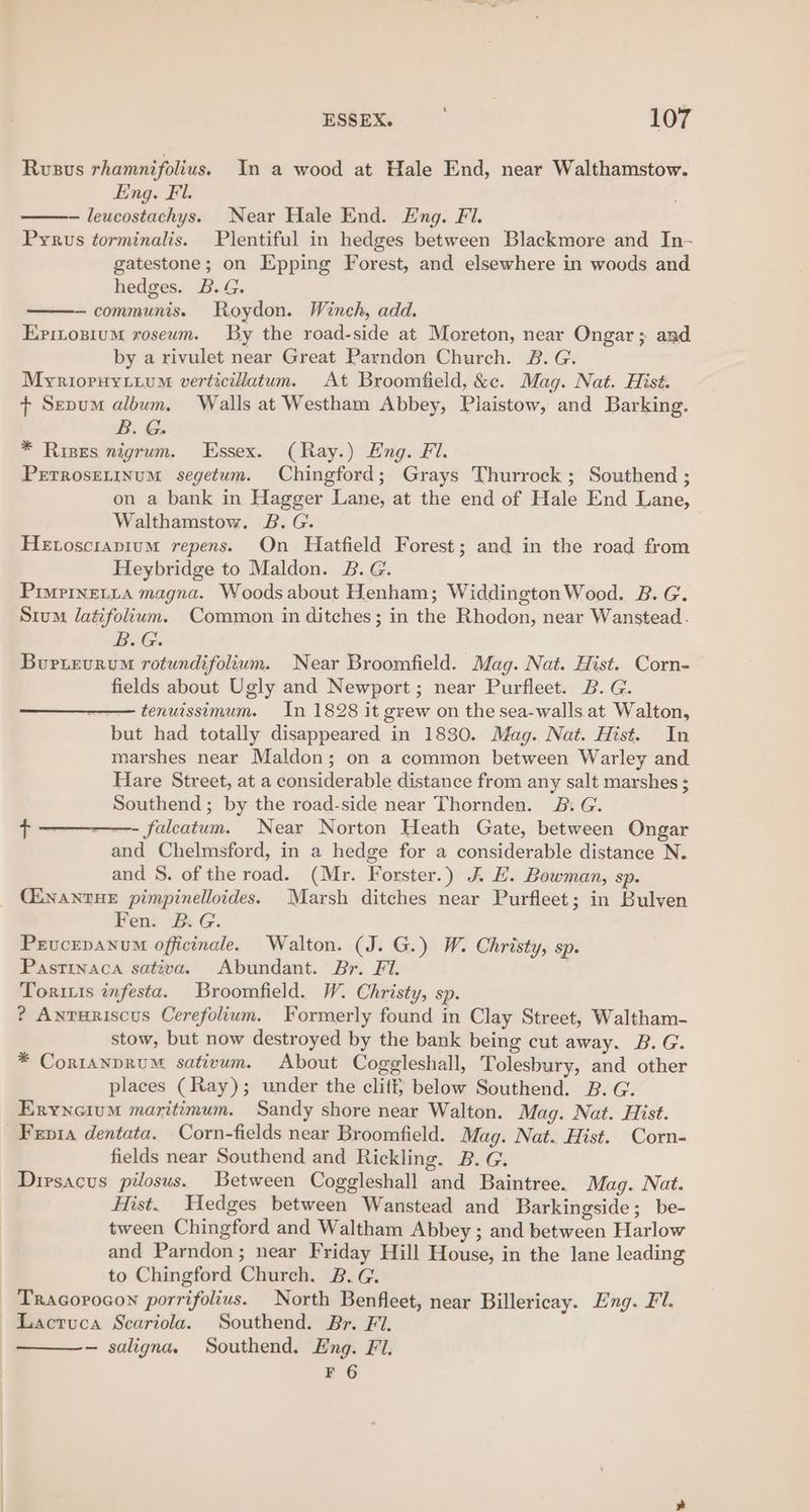 Rusus rhamnifolius. In a wood at Hale End, near Walthamstow. Eng. Fl. leucostachys. Near Hale End. Eng. Fl. Pyrus torminalis. Plentiful in hedges between Blackmore and In- gatestone; on Epping Forest, and elsewhere in woods and hedges. B.G. — communis. Roydon. Wineh, add. Eritosium roseum. By the road-side at Moreton, near Ongar; and by a rivulet near Great Parndon Church. 2. G. Myrioruytium verticillatum. At Broomfield, &amp;e. Mag. Nat. Hist. f+ Sepum album. Walls at Westham Abbey, Plaistow, and Barking. B. G. * Rives nigrum. Essex. (Ray.) Eng. Fi. PeETRosELINUM segetum. Chingford; Grays Thurrock ; Southend ; on a bank in Hagger Lane, at the end of Hale End Lane, Walthamstow. B. G. Hetosciapium repens. On Hatfield Forest; and in the road from Heybridge to Maldon. &amp;. G. PrmpInetia magna. Woods about Henham; Widdington Wood. B.G. Sium latifolium. Common in ditches; in the Rhodon, near Wanstead. B.G. Burievuru rotundifolium. Near Broomfield. Mag. Nat. Hist. Corn- fields about Ugly and Newport; near Purfleet. B. G. tenuissimum. In 1828 it grew on the sea-walls at Walton, but had totally disappeared in 1830. Mag. Nat. Hist. In marshes near Maldon; on a common between Warley and Hare Street, at a considerable distance from any salt marshes ; Southend; by the road-side near Thornden. B: G. ¢ ——- falcatum. Near Norton Heath Gate, between Ongar and Chelmsford, in a hedge for a considerable distance N. and S. of the road. (Mr. Forster.) A EH. Bowman, Sp CENANTHE pimpinelloides. Marsh ditches near Purfleet; in Bulven Fen. B.G. Prucepanum officinale. Walton. (J. G.) W. Christy, sp. Pastinaca sativa. Abundant. Br. Fi. . Torus infesta. Broomfield. W. Christy, sp. ? Anruriscus Cerefolium. Formerly found in Clay Street, Waltham- stow, but now destroyed by the bank being cut away. B.G. * CortanpRruM sativum. About Coggleshall, Tolesbury, and other places (Ray); under the clit below Southend. B. G. Eryneium maritimum. Sandy shore near Walton. Mag. Nat. Hist. Fepia dentata. Corn-fields near Broomfield. Mag. Nat. Hist. Corn- fields near Southend and Rickling. B. G. Dirsacus pilosus. Between Coggleshall and Baintree. Mag. Nat. Hist. Hedges between Wanstead and Barkingside; be- tween Chingford and Waltham Abbey ; and between Harlow and Parndon; near Friday Hill House, in the lane leading to Chingford Church. B. G. Tracorocon porrifolius. North Benfleet, near Billericay. Eng. Fl. ~ Lactruca Scariola. Southend. Br. Fi. — saligna. Southend. Eng. Fl. F 6