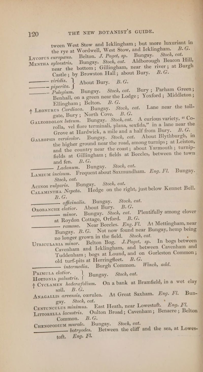 tween West Stow and Icklingham ; but more luxuriant in the rye at Wordwell, West Stow, and Icklingham. B.G. Lycorus europeus. Belton. J. Paget, sp. Bungay. Stock, cat. Mentua sylvestris. Bungay. Stock, cat. Aldborough Beacon Hill, — near the bottom; Gillingham, near the river ; at Burgh Castle; by Browston Hall; about Bury. 2&amp;.G. ees VL About Bury. B.G. — piperita. . — Pulegium. Bungay. Stock, cat. Bury ; Parham Green; Benhall, on a green near the Lodge ; Yoxford ; Middleton ; Ellingham; Belton. B. G. + LronuRus Cardiaca. Bungay. Stock, cat. Lane near the toll- gate, Bury ; North Cove. B.G. GALEOBDOLON luteum. Bungay. Stock, cat. A curious variety, “ Co- rolla, vel flore terminali, plana, sexfida,” in a lane near the Grove at Hardwick, a mile and a half from Bury. 28.G. Gaxxorsis versicolor. Bungay. Stock, cat. About Blythburgh, in the higher ground near the road, among turnips; at Leiston, and the country near the coast; about Yarmouth ; turnip- fields at Gillingham ; fields at Beccles, between the town and fen. 2B.G. Ladanum. Bungay. Stock, cat. Lamium incisum. Frequent about Saxmundham. Eng. Fl. Bungay. Stock, cat. “= Actiyos vulgaris. Bungay. Stock, cat. Caraminrua Nepeta. Hedge on the right, just below Kennet Bell. officinalis. Bungay. Stock, cat. Orosancue elatior, About Bury. 3B. G. ____—_— minor. Bungay. Stock, cat. Plentifully among clover at Roydon Cottage, Orford. B.G. ramosa. Near Beccles. Eng. Fl. At Mettingham, near Bungay. B.G. Not now found near Bungay, hemp being no longer grown in the field. Stock, cat. ; Urricunariza minor. Belton Bog. J.Paget, sp. In bogs between Cavenham and Icklingham, and between Cavenham and Tuddenham; bogs at Lound, and on Gorleston Common ; old turf-pits at Herringfleet. B.G. intermedia. Burgh Common, Winch, add. Primuta elatior. | Horrtonia palustris. { + CycLAMEN hederefolium. Ona bank at Bramfield, in a wet clay soil. B.G. AwnaGatuis arvensis, coerulea. At Great Saxham. Eng. Fl. Bun-- gay. Stock, cat. | Centuncutus minimus. East Heath, near Lowestoft. Eng. Fl. Lirroretta lacustris. Oulton Broad; Cavenham; Benacre ; Belton Common. B.G. Curnoropium murale. Bungay. Stock, cat. Between the cliff and the sea, at Lowes- Bungay. Stock, cat. —_—__—_—_ botryodes. toft. Eng. Fl
