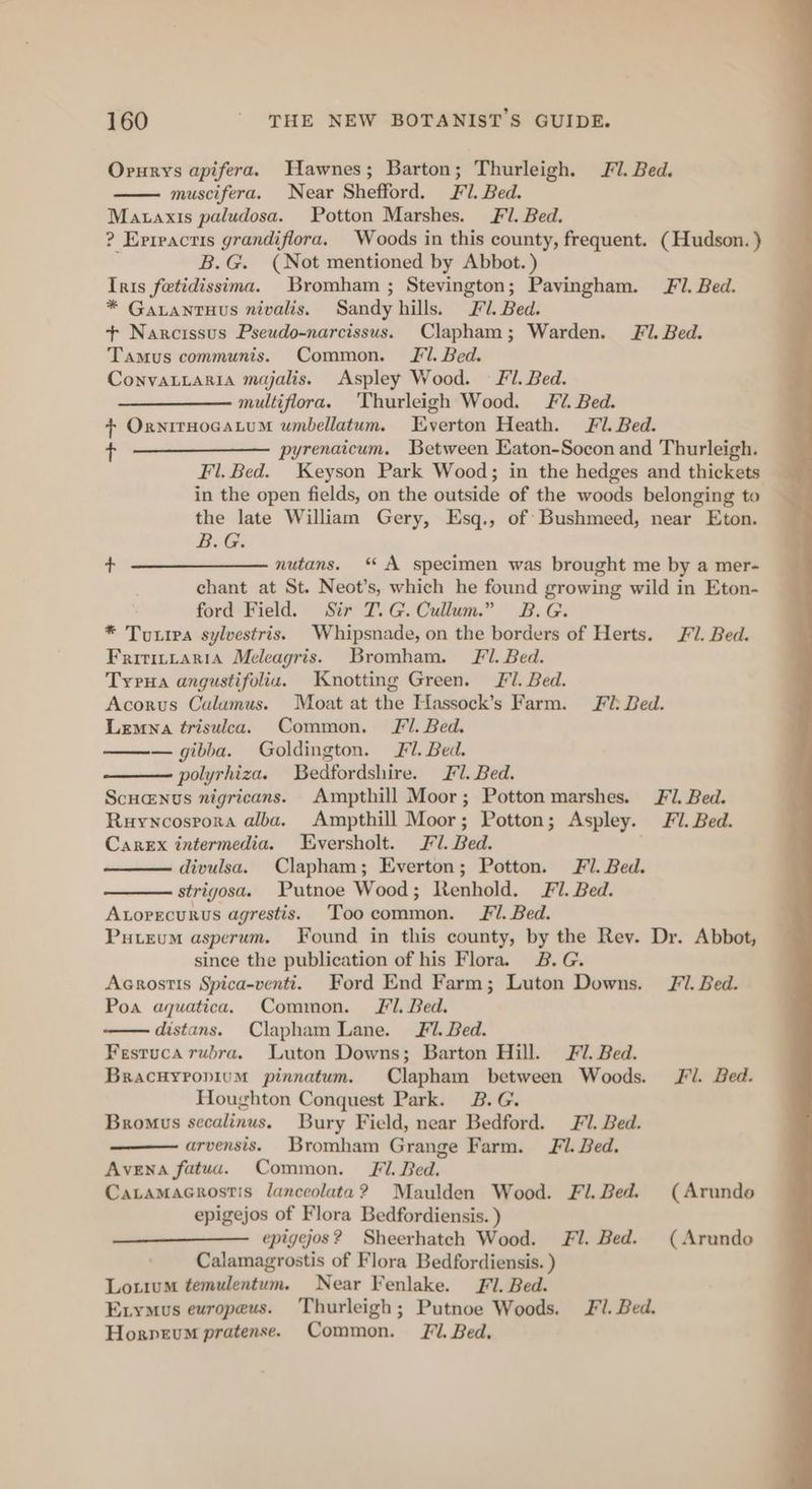 Orurys apifera. Hawnes; Barton; Thurleigh. FV. Bed. muscifera. Near Shefford. Fl. Bed. Mauaxis paludosa. Potton Marshes. Fi. Bed. ? Erreacris grandiflora. Woods in this county, frequent. (Hudson. ) B.G. (Not mentioned by Abbot. ) Iris fetidissima. Bromham ; Stevington; Pavingham. Fi. Bed. * Gavantuus nivalis. Sandy hills. il. Bed. + Narcissus Pseudo-narcissus. Clapham; Warden. FI. Bed. Tamus communis. Common. Jf. Bed. Convatiaria majalis. Aspley Wood. Fl. Bed. multiflora. 'Thurleigh Wood. Fv. Bed. + OrnirHocaLum umbellatum. Everton Heath. Fl. Bed. + pyrenaicum. Between Eaton-Socon and Thurleigh. Fl. Bed. Keyson Park Wood; in the hedges and thickets in the open fields, on the outside of the woods belonging to the late William Gery, Esq., of Bushmeed, near Eton. B.G. + —————- nutans. “ A specimen was brought me by a mer- chant at St. Neot’s, which he found growing wild in Eton- ford Field. Sir T.G.Cullum.” B.G. * Tuxrea sylvestris. Whipsnade, on the borders of Herts. Fl. Bed. Fritititaria Meleagris. Bromham. Fl. Bed. Tyrua angustifolia. Knotting Green. Fl. Bed. Acorvus Calamus. Moat at the Hassock’s Farm. Fl Ded. Lemna trisulca. Common. J. Bed. —gibba. Goldington. fl. Bed. polyrhiza. Bedfordshire. Fl. Bed. Scuanus nigricans. Ampthill Moor; Potton marshes. Fl. Bed. Ruyncospora alba. Ampthill Moor; Potton; Aspley. Fl. Bed. Carex intermedia. Eversholt. Fl. Bed. divulsa. Clapham; Everton; Potton. Fi. Bed. strigosa. Putnoe Wood; Renhold. Fl. Bed. Atorecurus agrestis. Toocommon. Fl. Bed. Puieum asperum. Found in this county, by the Rey. Dr. Abbot, since the publication of his Flora. 2B. G. Acrostis Spica-venti. Ford End Farm; Luton Downs. F/. Bed. Poa aquatica. Common. Fl. Bed. distans. Clapham Lane. 7. Bed. Festuca rubra. Luton Downs; Barton Hill. Fl. Bed. Bracuyropium pinnatum. Clapham between Woods. Jl. Bed. Houghton Conquest Park. 2B. G. Bromus secalinus. Bury Field, near Bedford. Fl. Bed. arvensis. Bromham Grange Farm. i. Bed. Avena fatua. Common. Fil. Bed. Catamacrostis lanceolata? Maulden Wood. Fl. Bed. (Arundo epigejos of Flora Bedfordiensis. ) epiggos? Sheerhatech Wood. Fl. Bed. (Arundo Calamagrostis of Flora Bedfordiensis. ) Lorium temulentum. Near Fenlake. FI. Bed. Exymus ewropeus. Thurleigh; Putnoe Woods. Fl. Bed. Horpeum pratense. Common. Fl. Bed.