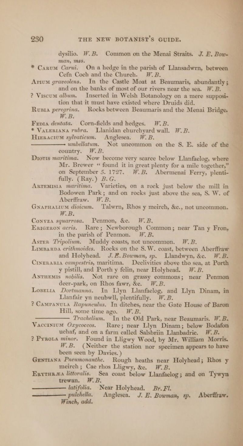 4 dysilio. J.B. Common on the Menai Straits. J. FE, Bow- man, MSS. : * Carum Carui. On a hedge in the parish of Llansadwrn, between Cefn Coch and the Church. WB. .. Arium graveolens. In the Castle Moat at Beaumaris, abundantly and on the banks of most of our rivers near the sea. J.B. ? Viscum album. Inserted in Welsh Botanology on a mere supposi- tion that it must have existed where Druids did. Rusta peregrina. Rocks between Beaumaris and the Menai Bridge. — WB q Fevia dentata. Corn-fields and hedges. 7. B. ; * Varerrana rubra. Llanidan churchyard wall. W.B. 5 Hirracivum sylvaticum. Anglesea. W.B. ¥ umbellatum. Not uncommon on the S. E. side of the country. JF. B. Droris maritima. Now become very scarce below Llanfaelog, where Mr. Brewer “ found it in great plenty for a mile together,” — on September 5. 1727. W.B. Abermenai Ferry, plenti- fully. (Ray.) B.G. ARTEMISIA maritima. Varieties, on a rock just below the mill in © Bodowen Park; and on rocks just above the sea, S. W. of Aberffraw. WB. GNAPHALIUM dioicum. Talwrn, Rhos y meirch, &amp;c., not uncommon. WB, Conyza squarrosa. Penmon, &amp;. WB. Ericeron acris. Rare; Newborough Common; near Tan y Fron, in the parish of Penmon. JW. 2B. Aster Tripolium. Muddy coasts, not uncommon. JW. B. Liuwsarva crithmoides. Rocks on the S. W. coast, between Aberffraw and Holyhead. J.#.Bowman, sp. Llandwyn, &amp;c. WB. CINERARIA campestris, maritima. Declivities above tho sea, at Porth y pistill, and Porth y felin, near Holyhead. WB. 4 AntuemMis nobilis. Not rare on grassy commons; near Penmon deer-park, on Rhos fawr, &amp;c. WB. Lozetia Dortmanna. In Llyn Llanfaelog, and Llyn Dinam, in Llanfair yn neubwll, plentifully. WB. ? Camranuta Rapunculus. In ditches, near the Gate House of Baron Hill, some time ago. WB. ; —— Trachelium. In the Old Park, near Beaumaris. WB. Vaccinium Oxycoecos. Rare; near Llyn Dinam; below Bodafon uchaf, and on a farm called Salsbriin Llanbadrie. WB. ? Pyrota minor. Found in Lligwy Wood, by Mr. William Morris. — W.B. (Neither the station nor specimen appears to have been seen by Davies. ) Gentiana Pnewmonanthe. Rough heaths near Holyhead; Rhos y meirch ; Cae rhos Lligwy, &amp;e. WB. : Erytur®a littoralis. Sea coast below Llanfaelog; and on Tywyn — . trewan. WB. latifolia. Near Holyhead. Br. Fl. pulchella. Anglesea. J. E. Bowman, sp. Aberffraw. Pi
