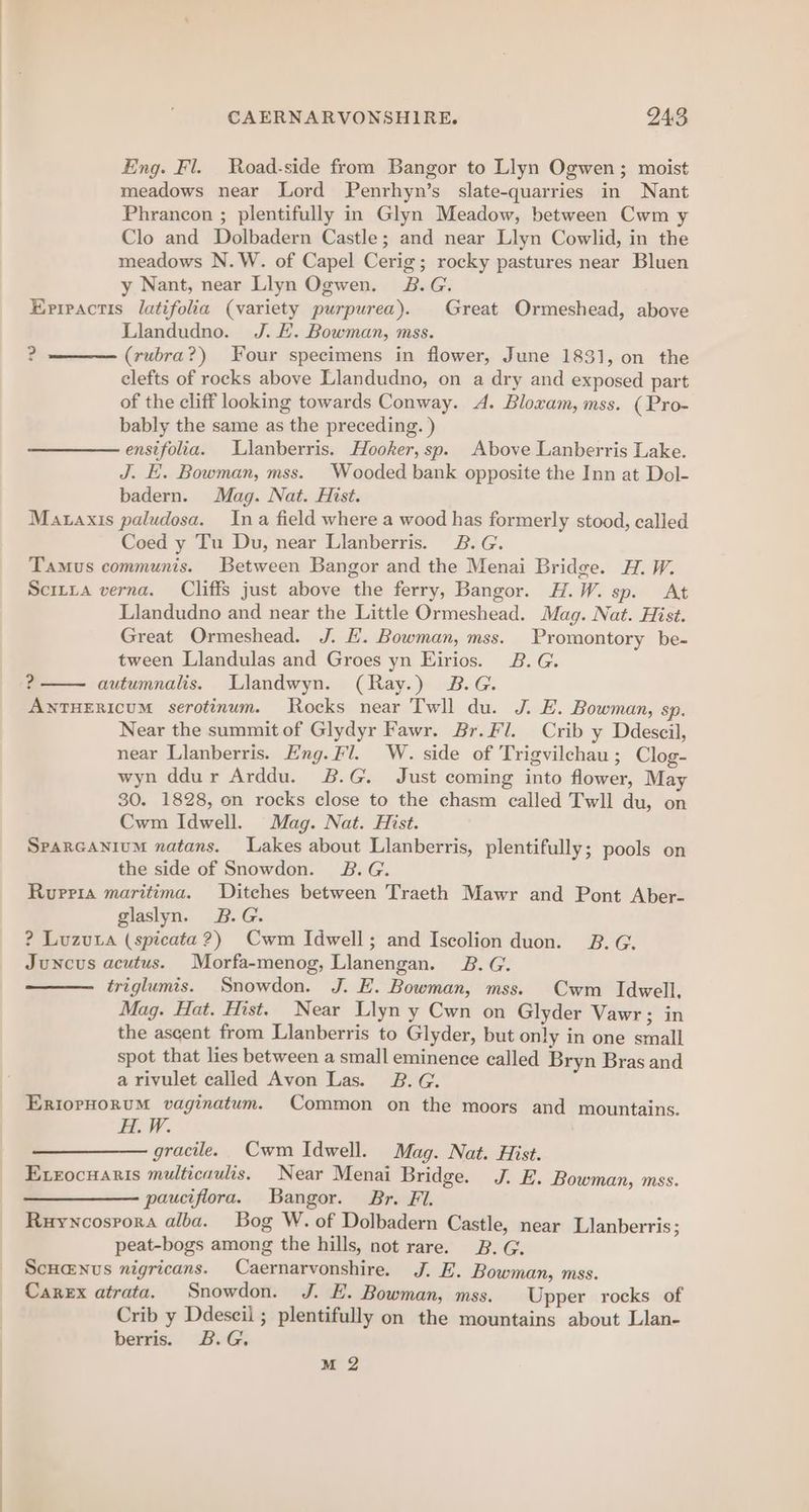 Eng. Fl. Road-side from Bangor to Llyn Ogwen; moist meadows near Lord Penrhyn’s slate-quarries in Nant Phrancon ; plentifully in Glyn Meadow, between Cwm y Clo and Dolbadern Castle; and near Llyn Cowlid, in the meadows N.W. of Capel Cerig; rocky pastures near Bluen y Nant, near Llyn Ogwen. 2&amp;B.G. Errpactis latifolia (variety purpurea). Great Ormeshead, above Llandudno. J. HL. Bowman, mss. (rubra?) Four specimens in flower, June 1831, on the clefts of rocks above Llandudno, on a dry and exposed part of the cliff looking towards Conway. A. Bloxam, mss. (Pro- bably the same as the preceding. ) ensifolia. Llanberris. Hooker, sp. Above Lanberris Lake. J. E. Bowman, mss. Wooded bank opposite the Inn at Dol- badern. Mag. Nat. Hist. Mazaxis paludosa. Ina field where a wood has formerly stood, called Coed y Tu Du, near Llanberris. 2.G. Tamus communis. Between Bangor and the Menai Bridge. H. W. Scrtxa verna. Cliffs just above the ferry, Bangor. H.W. sp. At Llandudno and near the Little Ormeshead. Mag. Nat. Hist. Great Ormeshead. J. EL. Bowman, mss. Promontory be- tween Llandulas and Groes yn Eirios. 2B. G. z autumnalis. Llandwyn. (Ray.) B.G. ANTHERICUM serotinum. Rocks near Twll du. J. E. Bowman, sp. Near the summit of Glydyr Fawr. Br. Fl. Crib y Ddeseil, near Llanberris. Eng. Fl. W. side of Trigvilchau; Clog- wyn ddur Arddu. &amp;.G. Just coming into flower, May 30. 1828, on rocks close to the chasm called Twll du, on Cwm Idwell. Mag. Nat. Hist. Sparcanium natans. Lakes about Llanberris, plentifully; pools on the side of Snowdon. 2B.G. Rupria maritima. Ditches between Traeth Mawr and Pont Aber- glaslyn. B.G. ? Luzuta (spicata?) Cwm Idwell; and Iscolion duon. 2B.G. Juncus acutus. Morfa-menog, Llanengan. B.G. triglumis. Snowdon. J. E. Bowman, mss. Cwm Idwell. Mag. Hat. Hist. Near Llyn y Cwn on Glyder Vawr; in the ascent from Llanberris to Glyder, but only in one small spot that lies between a small eminence called Bryn Bras and a rivulet called Avon Las. B.G. EriorHoruM vaginatum. Common on the moors and mountains. EW. gracile. Cwm Idwell. Mag. Nat. Hist. Exrocuanis multicaulis. Near Menai Bridge. J. E. Bowman, mss. pauciflora. Bangor. Br. Fi. Ruyncosrora alba. Bog W. of Dolbadern Castle, near Lianberris ; peat-bogs among the hills, not rare. B.G Scua@nus nigricans. Caernarvonshire. J. E. Bowman, mss. Carex atrata. Snowdon. J. E. Bowman, mss. Upper rocks of Crib y Ddescii ; plentifully on the mountains about Llan- berris. B.G. 2?