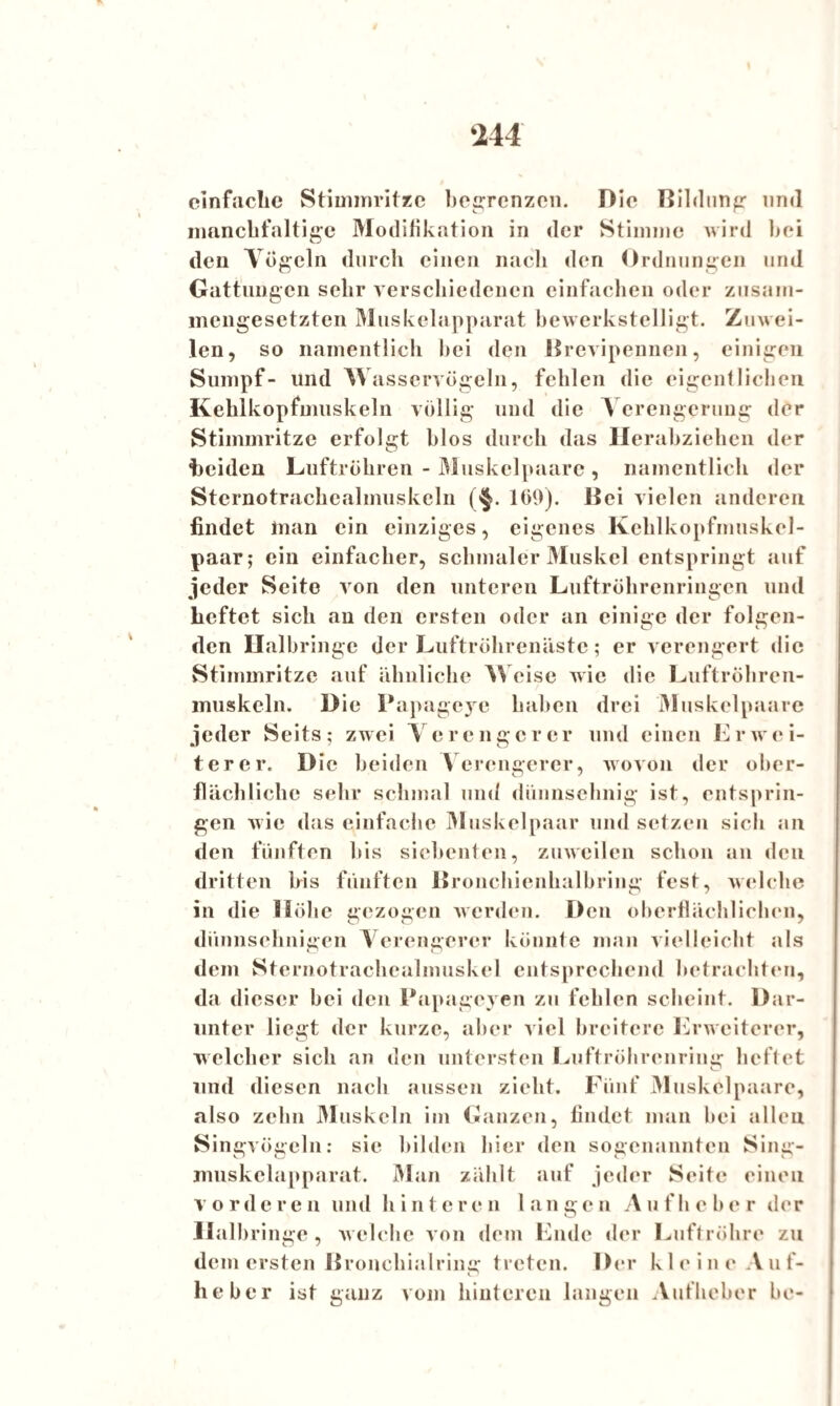 ‘244 einfache Stimmritze begrenzen. Die Bildung und manchfaltige Modifikation in der Stimme wird bei den Aögcln durch einen nach den Ordnungen und Gattungen sehr verschiedenen einfachen oder zusam¬ mengesetzten Muskelapparat bewerkstelligt. Zuwei¬ len, so namentlich bei den Brevipennen, einigen Sumpf- und Wasscrvögeln, fehlen die eigentlichen Kehlkopfmuskeln völlig und die Verengerung der Stimmritze erfolgt blos durch das Ilerabziehen der beiden Luftröhren - Muskelpaare , namentlich der Stcrnotrachealmuskcln ($. 169). Bei vielen anderen findet inan ein einziges, eigenes Kehlkopfmuskel¬ paar; ein einfacher, schmaler Muskel entspringt auf jeder Seite von den unteren Luftröhrenringen und heftet sich an den ersten oder an einige der folgen¬ den Halbringe der Luftrölireniiste; er verengert die Stimmritze auf ähnliche Weise wie die Luftröhren¬ muskeln. Die Papageye haben drei Muskel paare jeder Seits; zwei Verengerer und einen Erwei¬ terer. Die beiden Verengerer, wovon der ober¬ flächliche sehr schmal und dünnselinig ist, entsprin¬ gen wie das einfache Muskelpaar und setzen sich an den fünften bis siebenten, zuweilen schon an den dritten bis fünften Bronchienlialbring fest, welche in die Höhe gezogen werden. Den oberflächlichen, diinnsehnigen Verengerer könnte man vielleicht als dem Sternotrachealmuskel entsprechend betrachten, da dieser hei den Papageyen zu fehlen scheint. Dar¬ unter liegt der kurze, aber viel breitere Erweiterer, welcher sich an den untersten Luftröhrenring heftet und diesen nach aussen zieht. Fünf Muskel paare, also zehn Muskeln im Ganzen, findet man hei allen Singvögeln: sie bilden hier den sogenannten Sing- muskclapparat. Man zählt auf jeder Seite einen vorderen und hinteren langen Aufheber der Halbringe, welche von dem Ende der Luftröhre zu dem ersten Bronchialring treten. Der kleine Auf- lieber ist ganz vom hinteren langen Aufheber he-