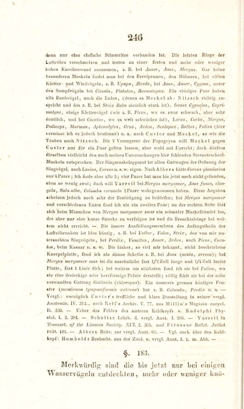 24(> dünn nur elno einfache Stimmritze vorhanden Ist. Die letzten Ringe der Luftröhre verschmelzen und treten zu einer festen und mehr oder weniger hohen Knochenwand zusammen, z. B. bei Anser, Anas, Mergus. Gar keine besonderen Muskeln findet man bei den Brevlpennen, den Hühnern, bei vielen Kletter- und Wiedvögeln, z. B. Upupa, Alcedo, bei Anas, Anser, Cygnus, unter den Sumpfvögeln bei Ciconia, Platalca, Haematopus. Ein einziges Paar liabeu alle Raubvögel, auch die Eulen, (denen es Meckel ab- Nitzsch richtig zu¬ spricht und das z. B. bei Strix Bubo ziemlich stark ist), ferner Cypselus, Capri- inulgus, einige Klettervögel (wie z. B. Picus, wo es zwar schwach, aber sehr deutlich, und bei Cucnlus, wo es weit schwächer ist), Larus, Carbo, Mergus, Vodiceps, Mormon, Aptenodytes, Grus, Ardea, Scolopax, Rallus, Fulica (hier vermisse ich es jedoch bestimmt) u. a. nach Cu vier und Meckel, so wie die Tauben nach Nitzsch. Die 2 Verengerer der Papageyen will Meckel gegen Cuvier nur für ein Paar gelten lassen, aber wohl mit Unrecht: doch dürften dieselben vielleicht den nach meinen Untersuchungen hier fehlenden Sternotracheal- Muskeln entsprechen. Der Singmuskelapparat ist allen Gattungen der Ordnung der Singvögel, auch Lanius, Corvus u. s. w. eigen. Nach Alb er s hätte Corvus glandarius nur 4Paare ; Ich finde aber alle 5; vier Paare hat man bis jetzt noch nicht gefunden, eben so wenig zwei; doch will Yarrell bei Mergus merganser, Anas fusca, clan- gula, Sulaalba, Columba coronata 2Paare wahrgenommen haben. Diese Angaben scheinen jedoch noch sehr der Bestätigung zu bedürfen; bei Mergus merganser und verschiedenen Enten fand ich nie ein zweites Paar; an der rechten Seite löst sich beim Männchen von Mergus merganser zwar ein schmaler Muskelbündel los, der aber nur eine kurze Strecke zu verfolgen ist und die Bronchialringe bei wei¬ tem nicht erreicht. — Die innere Ausfüllungsmembran des Anfangstheils der Luftröhrenäste ist blos häutig, z. B. bei Vultur, Falco, Strix, den von mir un¬ tersuchten Singvögeln, bei Perdix, Vanellus, Anser, Ardea, auch Picus, Cacil¬ ias, beim Kasuar u. s. w. Die bisher, so viel mir bekannt, nicht beschriebene Knorpelplatte, fand ich als dünne Scheibe z. B. bei Anas (acuta, crecca'); bei Mergus merganser mas ist die ansehnliche fast 1/2 Zoll lange und 1/4 Zoll breite Platte, fast l Linie dick; bei weitem am stärksten fand ich sie bei Fulica, wo sie eine dreieckige oder herzförmige Pelote darstcllt; völlig fehlt sie bei der nahe verwandten Gattung Gallinula (cldoropus). Ein äusseres grosses häutiges Fen¬ ster (membrana tympaniformis externa4 hat z. B. Columba, Perdix u. a. — Vergl.: vorzüglich Cuvier’s treffliche und klare Darstellung in seiner vergl. Anatomie. IV. 312., auch Rell's Archiv. V. 77. aus Millin’s Magazin encycl. II. 330. — Uebcr das Fehlen des unteren Kehlkopfs s. Rudolphi Phv- siol. 1. 2. 3S4. — Schnitze Lehrb. d. vergl. Anat. I. 286. — Yarrell In Transact. of the Linnean Society. _YI7. 2. 305. und Ferussac Bullet. Juillet 1830. 101. — A Ibers Beitr. zur vergl. Anat. 61. — Vgl. auch über den Kehl¬ kopf: Humboldt Beobacht, aus der Zool. u. vergl. Anat. I. 1. m. Abb. — §. 183. Merkwürdig sind die bis jetzt nur bei einigen Wasscrvögeln entdeckten, mehr oder weniger knü-
