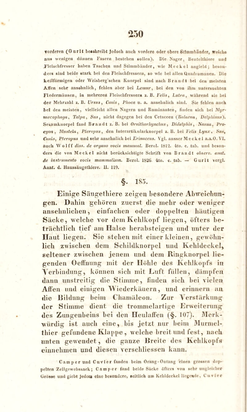 vorderen (Ourlt besohreibt Jedoch auch vordere oder obere Stimmbänder, Welche aus wenigen dünnen Fasern bestehen sollen). Die Isager, Beutelthiere und .Fleischfresser haben Taschen und Stimmbänder, wie Meckel angiebt; beson¬ ders sind beide stark, bei den Fleischfressern, so wie bei allen Uuadi umanen. Die keilförmigen oder Wrisberg’schen Knorpel sind nach Brandt bei den meisten Affen sehr ansehnlich, fehlen aber bei Lemur, bei den von ihm untersuchten Fledermäusen, in mehreren Fleischfressern z. B. Felis, Lutrn, während sie bei der Mehrzahl z. B. Ursus, Canis, Phoca u. a. ansehnlich sind. Sie fehlen auch bei den meisten, vielleicht allen Nagern und Ruminanten, finden sich bei Myr- tnecopliaga, Talpa, Sus, nicht dagegen bei den Cetaceen (Balaena, Delphinus'). Sesa.mknorpel fand Brandt z. B. bei Ornithorliynchus, Didelphis, Nnsua, Pro- cyon , Mustela, Pteropus, den Interartikularknorpel z. B. bei Felis Lynx, Sus, Caniii, Pteropus und sehr ansehnlich bei Erinaceus. Vgl. ausser Me ekel a.a.O. VI. auch Wolff diss. de organo vocis mammal. Berol. 1812. 4to. c. tab. und beson¬ ders die von Meckel nicht berücksichtigte Schrift von Brandt observ. anat. de instrumento vocis mammalium. Berol. IS'26. 4to. c. tab. — Gurlt vergl. Anat. d. Haussäugethlere. 11. 119. §. 185. Einige Säugetliiere zeigen besondere Abweichun¬ gen. Dahin gehören zuerst die mehr oder weniger ansehnlichen, einfachen oder doppelten häutigen Säcke, welche vor dem Kehlkopf liegen, öfters be¬ trächtlich tief am Halse herabsteigen und unter der Haut liegen. Sie stehen mit einer kleinen, gewöhn¬ lich zwischen dem Schildknorpel und Kehldeckel, seltener zwischen jenem und dem Ringknorpel lie¬ genden Oeffnung mit der Höhle des Kehlkopfs in Verbindung, können sich mit Luft fidlen, dämpfen dann unstreitig die Stimme, linden sich hei vielen Allen und einigen Wiederkäuern, und erinnern an die Bildung beim Chamäleon. Zur Verstärkung der Stimme dient die trommelartige Erweiterung des Zungenbeins bei den Heulaffcn (§. 107). Merk¬ würdig ist auch eine, bis jetzt nur beim Murmel¬ nder gefundene Klappe , welche breit und fest, nach unten gewendet , die ganze Breite des Kehlkopfs einnchmen und diesen vcrschliessen kann. Camperund Cuvler fanden beim Orang-Outang einen grossen dop¬ pelten Zellgewcbssaek; Camper fand beide Säcke öfters von sehr ungleicher Crosse und giebt jedem eine besondere, seitlich am Kehldeckel liegende. Cu vier