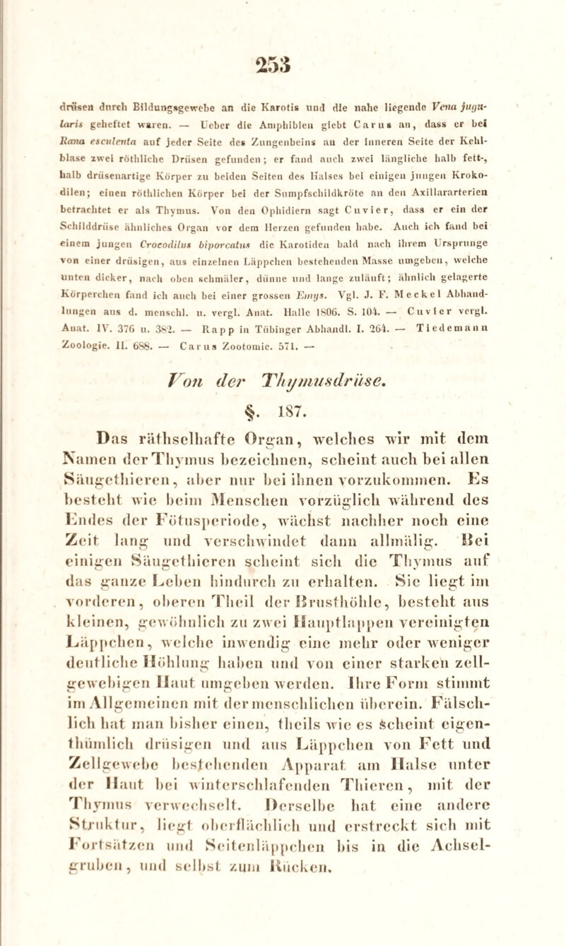 drtfsen durch Blldimg&gewebe an die Karotis und die nahe liegende Veiia juyu~ laris geheftet waren. — lieber die Amphibien giebt Carut au, dass er bei Rana eseulerita auf jeder Seite des Zungenbeins au der inneren Seite der Kehl¬ blase zwei röthliche Drüsen gefunden; er fand auch zwei längliche halb fett-, halb drüsenartige Körper zu beiden Seiten des Halses bei einigen jungen Kroko¬ dilen; einen röthliehen Körper bei der Sumpfschildkröte an den Axillararterien betrachtet er als Thymus. YTon den Ophidiern sagt Cuvier, dass er ein der Schilddrüse ähnliches Organ vor dem Herzen gefunden habe. Auch ich fand bei einem jungen Crocodilu* biporcatus die Karotiden bald nach ihrem Ursprünge von einer drüsigen, aus einzelnen Läppchen bestehenden Masse umgeben, welche unten dicker, nach oben schmäler, dünne und lange zuläuft; ähnlich gelagerte Körperchen fand ich auch bei einer grossen Einys. Vgl. J. F. Meckel Abhand¬ lungen aus d. mensehl. u. vergl. Anat. Halle 1S06. S. 104. — Cuvier vergl. Anat. lYr. 376 u. 3S2. — Rapp in Tübinger Abhandl. I. 264. —■ Tiedemann Zoologie. 11. 6S8. — Carus Zootomie. 571. — T on der Thymusdrüse. 187. Das räthselhafte Organ, Yvelchcs wir mit (1cm Namen der Thymus bezeichnen, scheint auch bei allen Säugethieren, aber nur bei ihnen vorzukommen. Es besteht wie beim Menschen vorzüglich während des Endes der Fötusperiode, wächst nachher noch eine Zeit lang und verschwindet dann allmälig. Bei einigen Säugethieren scheint sich die Thymus auf das ganze Leben hindurch zu erhalten. Sic liegt im vorderen, oberen Tlieil der Brusthöhle, besteht aus kleinen, gewöhnlich zu zwei Hauptlappen vereinigten Läppchen, welche inwendig eine mehr oder weniger deutliche Höhlung haben und von einer starken zell- gewebigen Haut umgeben werden. Ihre Form stimmt im Allgemeinen mit der menschlichen überein. Fälsch¬ lich hat man bisher einen, tlicils wie es Scheint cigen- thümlich drüsigen und aus Läppchen von Fett und ZellgeYvebe bestehenden Apparat am Halse unter der Haut bei winterschlafenden Thieren, mit der r\ hyinus venvechselt. Derselbe hat eine andere Struktur, liegt oberflächlich und erstreckt sich mit Fortsätzen und Seitenläppchen bis in die Achsel¬ gruben, und selbst zum Rücken,