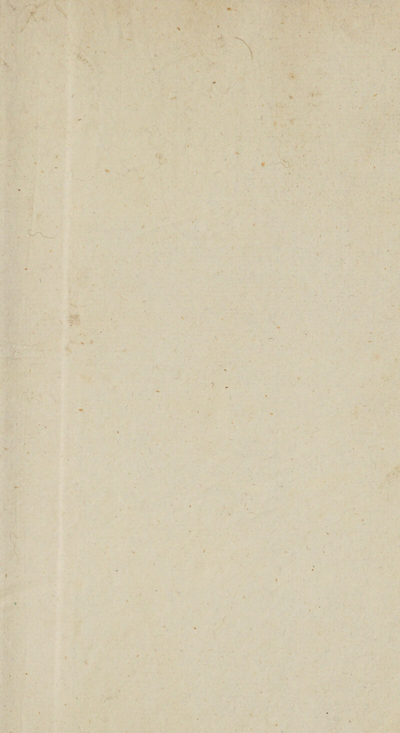 \ 4 1 / fr- ) \ \ t y , v; % V  i t f l \ \ > \ / T f O * I ,