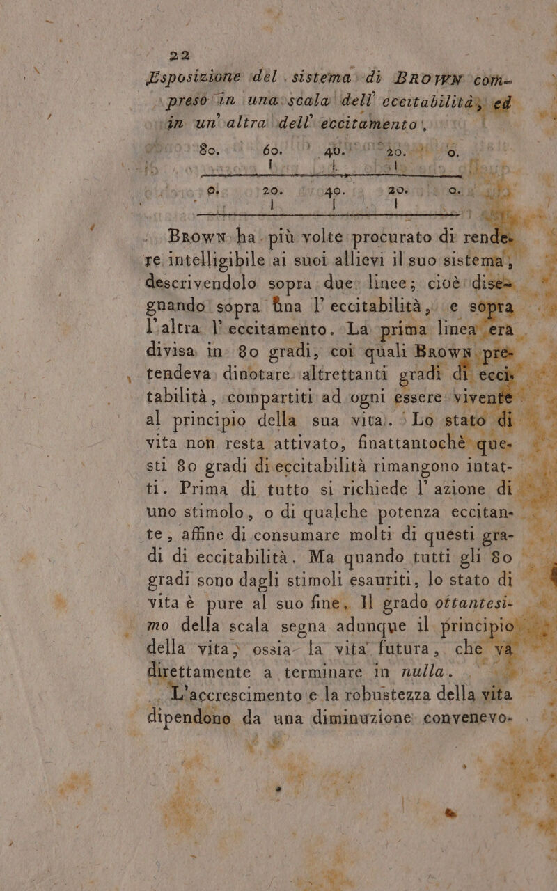 5 4 ] \ preso: riti una:scala’ dell’ nt «in un'altra dell eccitamento, vi MPI 80, SOLI, AR A ie al dat $ sà Li vi lip i 4 ni gta Ha E a 0. 20%: 17049. (ds 20. pd i :BRowm ha. ‘più alza procurato Di rende descrivendolo sopra due: linee; cioè. diseà gnando. sopra ‘fina | eccitabilità ,. ‘e sopra ” l'altra 1’ eccitamento. La prima line: METÀ, divisa in 8o gradi, coi quali Bow pre tendeva. dinotare ‘altrettanti gra tabilità, compartiti ad ogni essere. vive | al principio della sua vita). © Lo stato &lt; ti DL vita non resta attivato, finattantochè: que. — ; sti 80 gradi di eccitabilità rimangono intat-o vi x ti. Prima di tutto si richiede ]’ azione di. uno stimolo, o di qualche potenza eccitan- di di eccitabilità . Ma quando tutti gli 8o Pa gradi sono dagli stimoli esauriti, lo stato di. mo della scala segna adunque il principio. o della vita; ossia la vita futura, che va... direttamente a terminare in nulla. ‘accrescimento ‘e la robustezza della vita: IE Ji da n 0A \ 1: MAL Lat Di CT { ARMA : d | RR | Va »