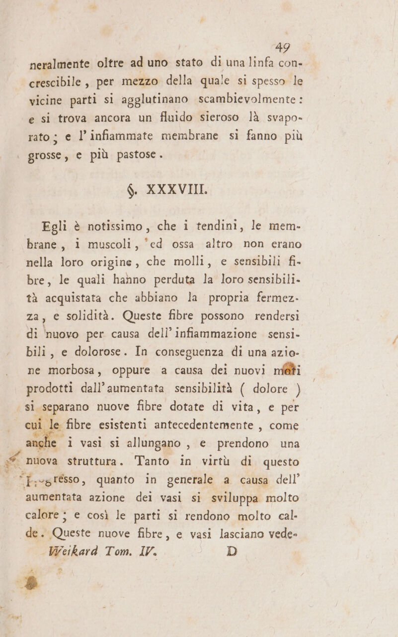 neralmente oltre ad uno stato di una linfa con- crescibile, per mezzo della quale si spesso le vicine parti si agglutinano scambievolmente : e si trova ancora un fluido sieroso là svapo- rato; e l’infiammate membrane si fanno più grosse, © più pastose. $. XXXVIII. Egli è notissimo, che i tendini, le mem- brane, i muscoli, ‘ed ossa altro non erano nella loro origine, che molli, e sensibili fi- bre, le quali hanno perduta la loro sensibili. tà acquistata che abbiano la propria fermez- za, e solidità. Queste fibre possono rendersi di ‘nuovo per causa dell’ infiammazione sensi- bili, e dolorose. In conseguenza di una azio- ne morbosa, oppure a causa dei nuovi m@fti prodotti dall’aumentata sensibilità ( dolore ) si separano nuove fibre dotate di vita, e per culle fibre esistenti antecedentemente , come anche i vasì si allungano , e prendono una EA nuova struttura. Tanto in virtù di questo S “fegi0, quanto in generale a causa dell’ aumentata azione dei vasi si sviluppa molto calore j e così le parti si rendono molto cal. de. Queste nuove fibre, e vasi lasciano vede- Weikard Tom. IV. D È rd