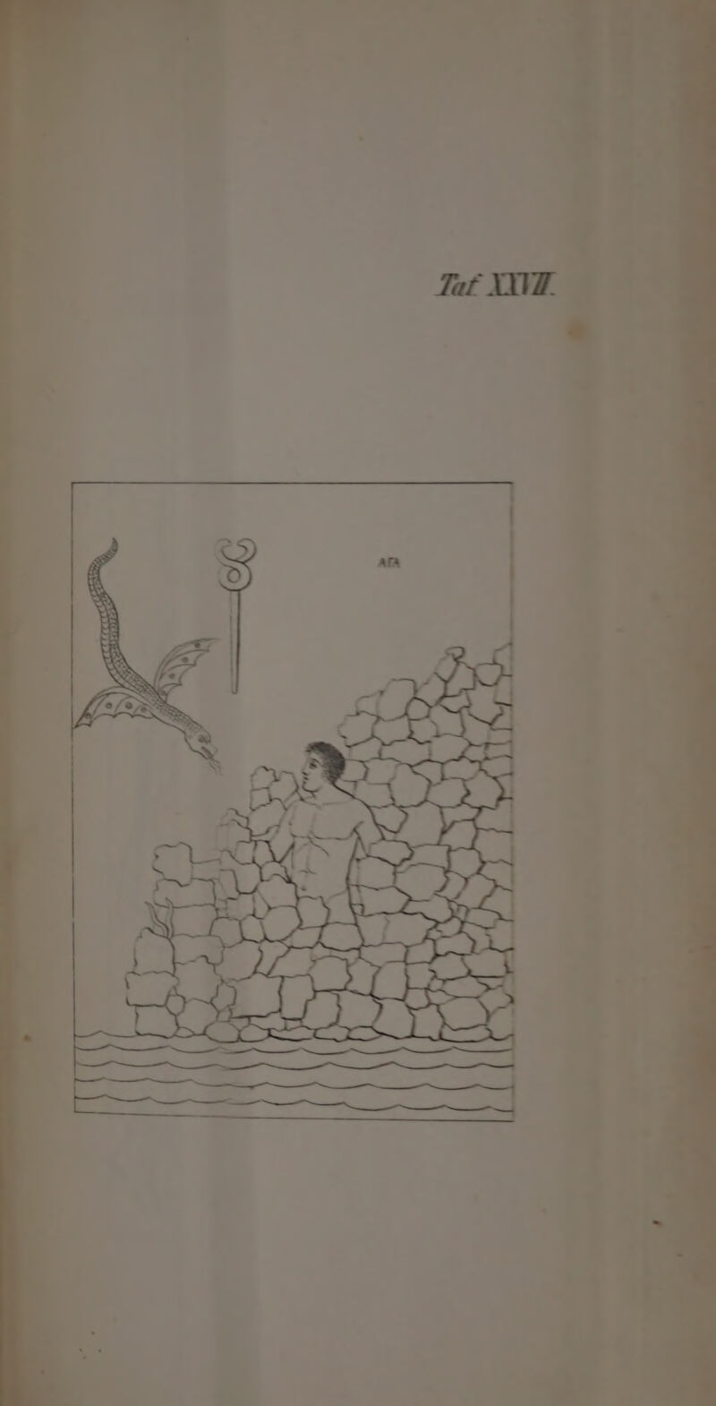 % N a SaeREN UN I; Seas) S ur e | Fr