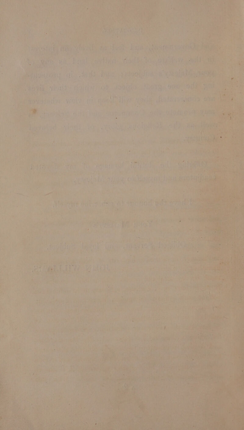 a aa caytias: “Hodke mn ; ; Sineliee aoe }, oat Sop ne ott oo AE anechs liye “ial dolinnagen ota . oe an 7 ie danieete ve) a tek ogee ae dats ie Myerotd vi. We ie mule ate or ae “s ; =i su ‘i s ne a ia ini a hes il pre ae. ROL ul lg ~ , ly f shite Loli ufaine @ se, OES oe ean | 3 “ay bites yes apni a cas eee ie ce hs bib Ss Satach. Si Rye SHR see fades wt PG cpaneeee 3 : ie .. ; ve ¥ ie Ki ie ne ~ ; Fas okt « aa as. rt ae