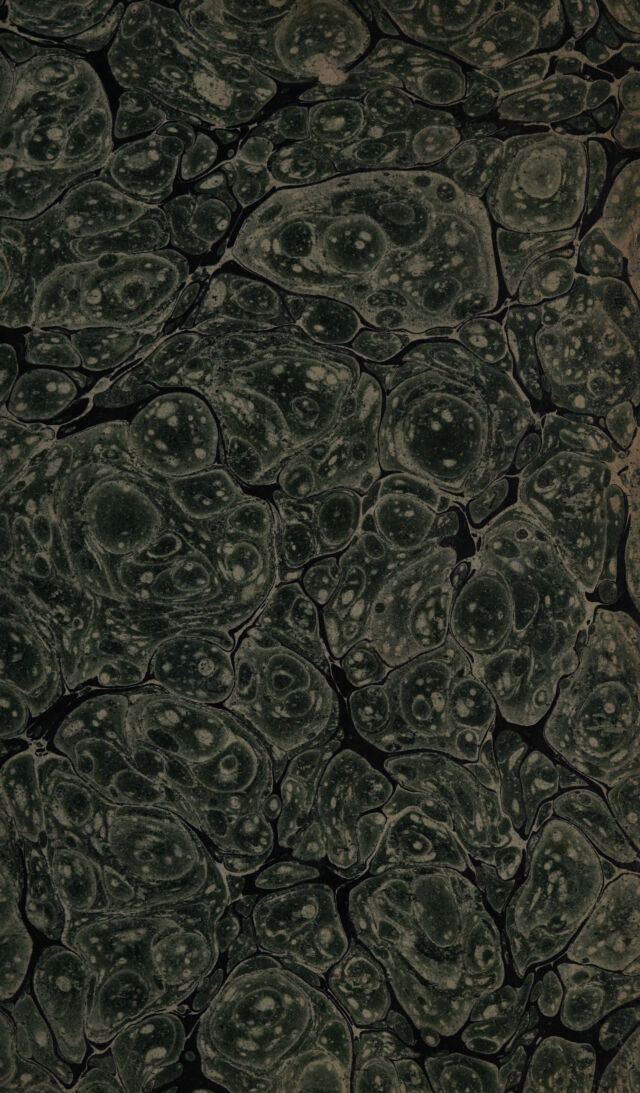 digitised image 3