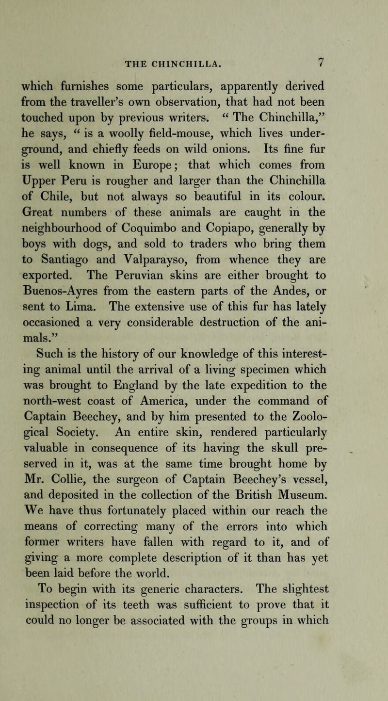 which furnishes some particulars, apparently derived from the traveller’s own observation, that had not been touched upon by previous writers. “ The Chinchilla,” he says, “ is a woolly field-mouse, which lives under¬ ground, and chiefly feeds on wild onions. Its fine fur is well known in Europe; that which comes from Upper Peru is rougher and larger than the Chinchilla of Chile, but not always so beautiful in its colour. Great numbers of these animals are caught in the neighbourhood of Coquimbo and Copiapo, generally by boys with dogs, and sold to traders who bring them to Santiago and Valparayso, from whence they are exported. The Peruvian skins are either brought to Buenos-Ayres from the eastern parts of the Andes, or sent to Lima. The extensive use of this fur has lately occasioned a very considerable destruction of the ani¬ mals.” Such is the history of our knowledge of this interest¬ ing animal until the arrival of a living specimen which was brought to England by the late expedition to the north-west coast of America, under the command of Captain Beechey, and by him presented to the Zoolo¬ gical Society. An entire skin, rendered particularly valuable in consequence of its having the skull pre¬ served in it, was at the same time brought home by Mr. Collie, the surgeon of Captain Beechey’s vessel, and deposited in the collection of the British Museum. We have thus fortunately placed within our reach the means of correcting many of the errors into which former writers have fallen with regard to it, and of giving a more complete description of it than has yet been laid before the world. To begin with its generic characters. The slightest inspection of its teeth was sufficient to prove that it could no longer be associated with the groups in which