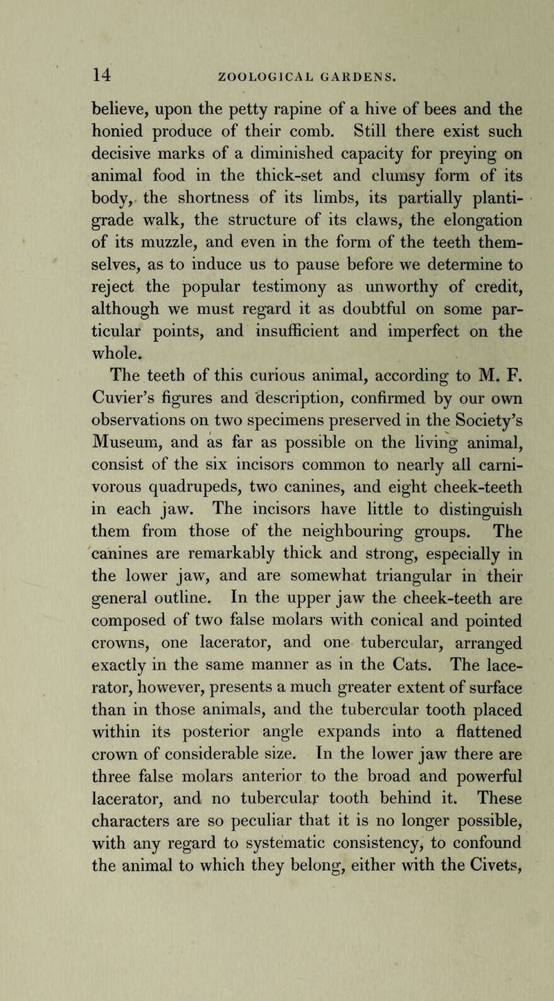 believe, upon the petty rapine of a hive of bees and the honied produce of their comb. Still there exist such decisive marks of a diminished capacity for preying on animal food in the thick-set and clumsy form of its body, the shortness of its limbs, its partially planti¬ grade walk, the structure of its claws, the elongation of its muzzle, and even in the form of the teeth them¬ selves, as to induce us to pause before we determine to reject the popular testimony as unworthy of credit, although we must regard it as doubtful on some par¬ ticular points, and insufficient and imperfect on the whole. The teeth of this curious animal, according to M. F. Cuvier’s figures and description, confirmed by our own observations on two specimens preserved in the Society’s Museum, and as far as possible on the living animal, consist of the six incisors common to nearly all carni¬ vorous quadrupeds, two canines, and eight cheek-teeth in each jaw. The incisors have little to distinguish them from those of the neighbouring groups. The canines are remarkably thick and strong, especially in the lower jaw, and are somewhat triangular in their general outline. In the upper jaw the cheek-teeth are composed of two false molars with conical and pointed crowns, one lacerator, and one tubercular, arranged exactly in the same manner as in the Cats. The lace¬ rator, however, presents a much greater extent of surface than in those animals, and the tubercular tooth placed within its posterior angle expands into a flattened crown of considerable size. In the lower jaw there are three false molars anterior to the broad and powerful lacerator, and no tubercular tooth behind it. These characters are so peculiar that it is no longer possible, with any regard to systematic consistency, to confound the animal to which they belong, either with the Civets,