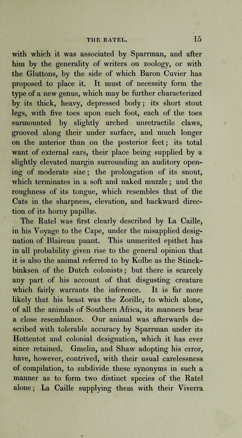 with which it was associated by Sparrman, and after him by the generality of writers on zoology, or with the Gluttons, by the side of which Baron Cuvier has proposed to place it. It must of necessity form the type of a new genus, which may be further characterized by its thick, heavy, depressed body; its short stout legs, with five toes upon each foot, each of the toes surmounted by slightly arched unretractile claws, grooved along their under surface, and much longer on the anterior than on the posterior feet; its total want of external ears, their place being supplied by a slightly elevated margin surrounding an auditory open¬ ing of moderate size; the prolongation of its snout, which terminates in a soft and naked muzzle; and the roughness of its tongue, which resembles that of the Cats in the sharpness, elevation, and backward direc¬ tion of its horny papillae. The Ratel was first clearly described by La Caille, in his Voyage to the Cape, under the misapplied desig¬ nation of Blaireau puant. This unmerited epithet has in all probability given rise to the general opinion that it is also the animal referred to by Kolbe as the Stinck- binksen of the Dutch colonists; but there is scarcely any part of his account of that disgusting creature which fairly warrants the inference. It is far more likely that his beast was the Zorille, to which alone, of all the animals of Southern Africa, its manners bear a close resemblance. Our animal was afterwards de¬ scribed with tolerable accuracy by Sparrman under its Hottentot and colonial designation, which it has ever since retained. Gmelin, and Shaw adopting his error, have, however, contrived, with their usual carelessness of compilation, to subdivide these synonyms in such a manner as to form two distinct species of the Ratel alone; La Caille supplying them with their Viverra