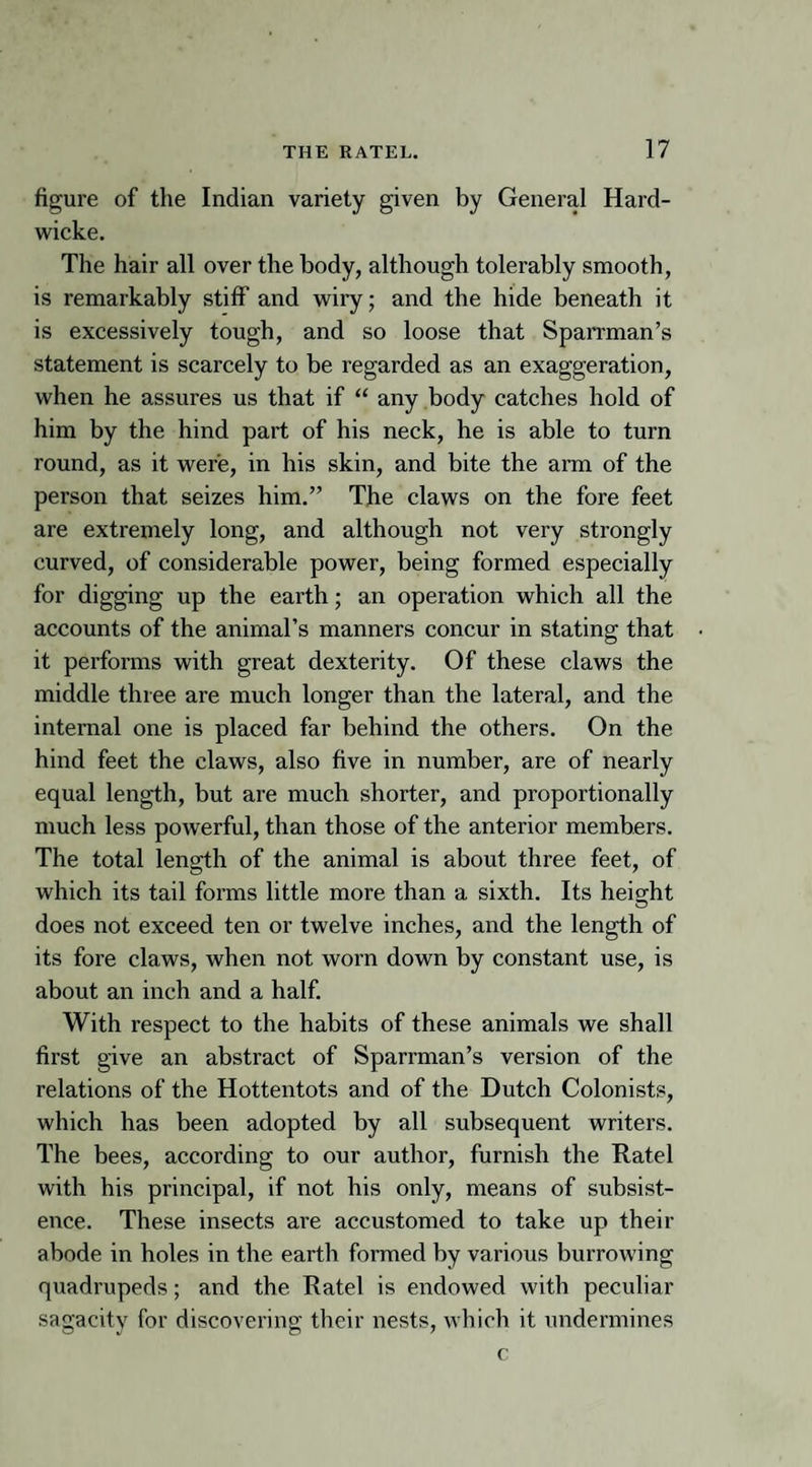 figure of the Indian variety given by General Hard- wicke. The hair all over the body, although tolerably smooth, is remarkably stiff and wiry; and the hide beneath it is excessively tough, and so loose that Sparrman’s statement is scarcely to be regarded as an exaggeration, when he assures us that if “ any body catches hold of him by the hind part of his neck, he is able to turn round, as it were, in his skin, and bite the arm of the person that seizes him.” The claws on the fore feet are extremely long, and although not very strongly curved, of considerable power, being formed especially for digging up the earth; an operation which all the accounts of the animal’s manners concur in stating that it performs with great dexterity. Of these claws the middle three are much longer than the lateral, and the internal one is placed far behind the others. On the hind feet the claws, also five in number, are of nearly equal length, but are much shorter, and proportionally much less powerful, than those of the anterior members. The total length of the animal is about three feet, of which its tail forms little more than a sixth. Its height does not exceed ten or twelve inches, and the length of its fore claws, when not worn down by constant use, is about an inch and a half. With respect to the habits of these animals we shall first give an abstract of Sparrman’s version of the relations of the Hottentots and of the Dutch Colonists, which has been adopted by all subsequent writers. The bees, according to our author, furnish the Ratel with his principal, if not his only, means of subsist¬ ence. These insects are accustomed to take up their abode in holes in the earth formed by various burrowing quadrupeds; and the Ratel is endowed with peculiar sagacity for discovering their nests, which it undermines