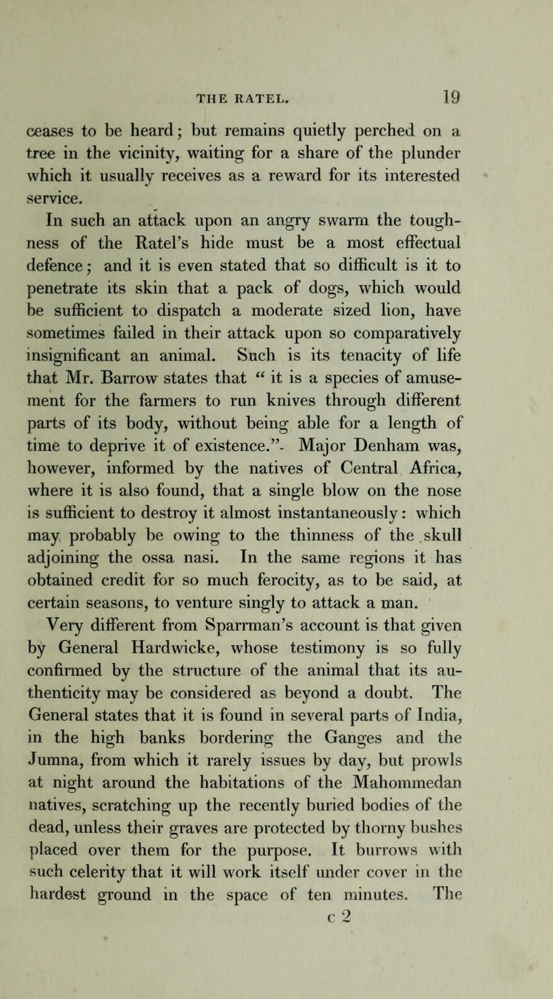 ceases to be heard; but remains quietly perched on a tree in the vicinity, waiting for a share of the plunder which it usually receives as a reward for its interested service. In such an attack upon an angry swarm the tough¬ ness of the Ratel’s hide must be a most effectual defence; and it is even stated that so difficult is it to penetrate its skin that a pack of dogs, which would be sufficient to dispatch a moderate sized lion, have sometimes failed in their attack upon so comparatively insignificant an animal. Such is its tenacity of life that Mr. Barrow states that “ it is a species of amuse¬ ment for the farmers to run knives through different parts of its body, without being able for a length of time to deprive it of existence.”- Major Denham was, however, informed by the natives of Central Africa, where it is also found, that a single blow on the nose is sufficient to destroy it almost instantaneously: which may probably be owing to the thinness of the skull adjoining the ossa nasi. In the same regions it has obtained credit for so much ferocity, as to be said, at certain seasons, to venture singly to attack a man. Very different from Sparrman’s account is that given by General Hardwicke, whose testimony is so fully confirmed by the structure of the animal that its au¬ thenticity may be considered as beyond a doubt. The General states that it is found in several parts of India, in the high banks bordering the Ganges and the Jumna, from which it rarely issues by day, but prowls at night around the habitations of the Mahommedan natives, scratching up the recently buried bodies of the dead, unless their graves are protected by tborny bushes placed over them for the purpose. It burrows with such celerity that it will work itself under cover in the hardest ground in the space of ten minutes. The
