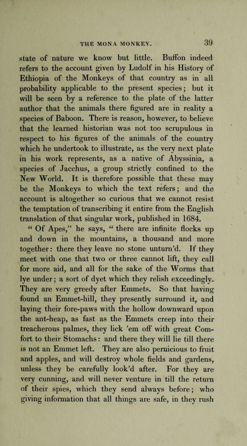 state of nature we know but little. Buffon indeed refers to the account given by Ludolf in his History of Ethiopia of the Monkeys of that country as in all probability applicable to the present species; but it will be seen by a reference to the plate of the latter author that the animals there figured are in reality a species of Baboon. There is reason, however, to believe that the learned historian was not too scrupulous in respect to his figures of the animals of the country which he undertook to illustrate, as the very next plate in his work represents, as a native of Abyssinia, a species of Jacchus, a group strictly confined to the New World. It is therefore possible that these may be the Monkeys to which the text refers; and the account is altogether so curious that we cannot resist the temptation of transcribing it entire from the English translation of that singular work, published in 1684. “ Of Apes,” he says, “ there are infinite flocks up and down in the mountains, a thousand and more together: there they leave no stone unturn’d. If they meet with one that two or three cannot lift, they call for more aid, and all for the sake of the Worms that lye under; a sort of dyet which they relish exceedingly. They are very greedy after Emmets. So that having found an Emmet-hill, they presently surround it, and laying their fore-paws with the hollow downward upon the ant-heap, as fast as the Emmets creep into their treacherous palmes, they lick ’em off with great Com¬ fort to their Stomachs: and there they will lie till there is not an Emmet left. They are also pernicious to fruit and apples, and will destroy whole fields and gardens, unless they be carefully look’d after. For they are very cunning, and will never venture in till the return of their spies, which they send always before; who giving information that all things are safe, in they rush