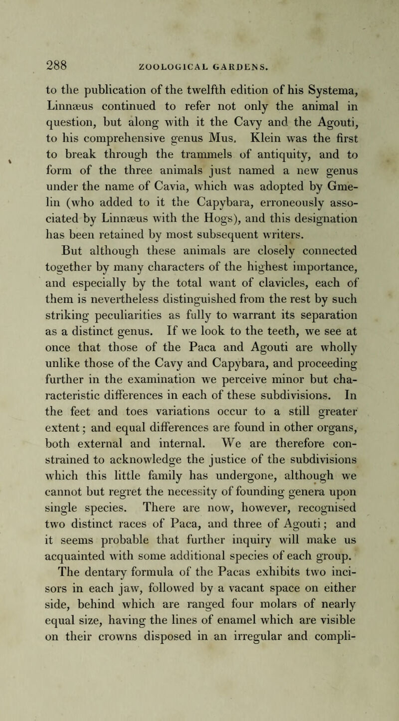 to the publication of the twelfth edition of his Systema, Linnaeus continued to refer not only the animal in question, but along with it the Cavy and the Agouti, to his comprehensive genus Mus. Klein was the first to break through the trammels of antiquity, and to form of the three animals just named a new genus under the name of Cavia, which was adopted by Gme- lin (who added to it the Capybara, erroneously asso¬ ciated by Linnteus with the Hogs), and this designation has been retained by most subsequent writers. But although these animals are closely connected together by many characters of the highest importance, and especially by the total want of clavicles, each of them is nevertheless distinguished from the rest by such striking peculiarities as fully to warrant its separation as a distinct genus. If we look to the teeth, we see at once that those of the Paca and Agouti are wholly unlike those of the Cavy and Capybara, and proceeding further in the examination we perceive minor but cha¬ racteristic differences in each of these subdivisions. In the feet and toes variations occur to a still greater extent; and equal differences are found in other organs, both external and internal. We are therefore con¬ strained to acknowledge the justice of the subdivisions which this little family has undergone, although we cannot but regret the necessity of founding genera upon single species. There are now, however, recognised two distinct races of Paca, and three of Agouti; and it seems probable that further inquiry will make us acquainted with some additional species of each group. The dentary formula of the Pacas exhibits two inci¬ sors in each jaw, followed by a vacant space on either side, behind which are ranged four molars of nearly equal size, having the lines of enamel which are visible on their crowns disposed in an irregular and compli-
