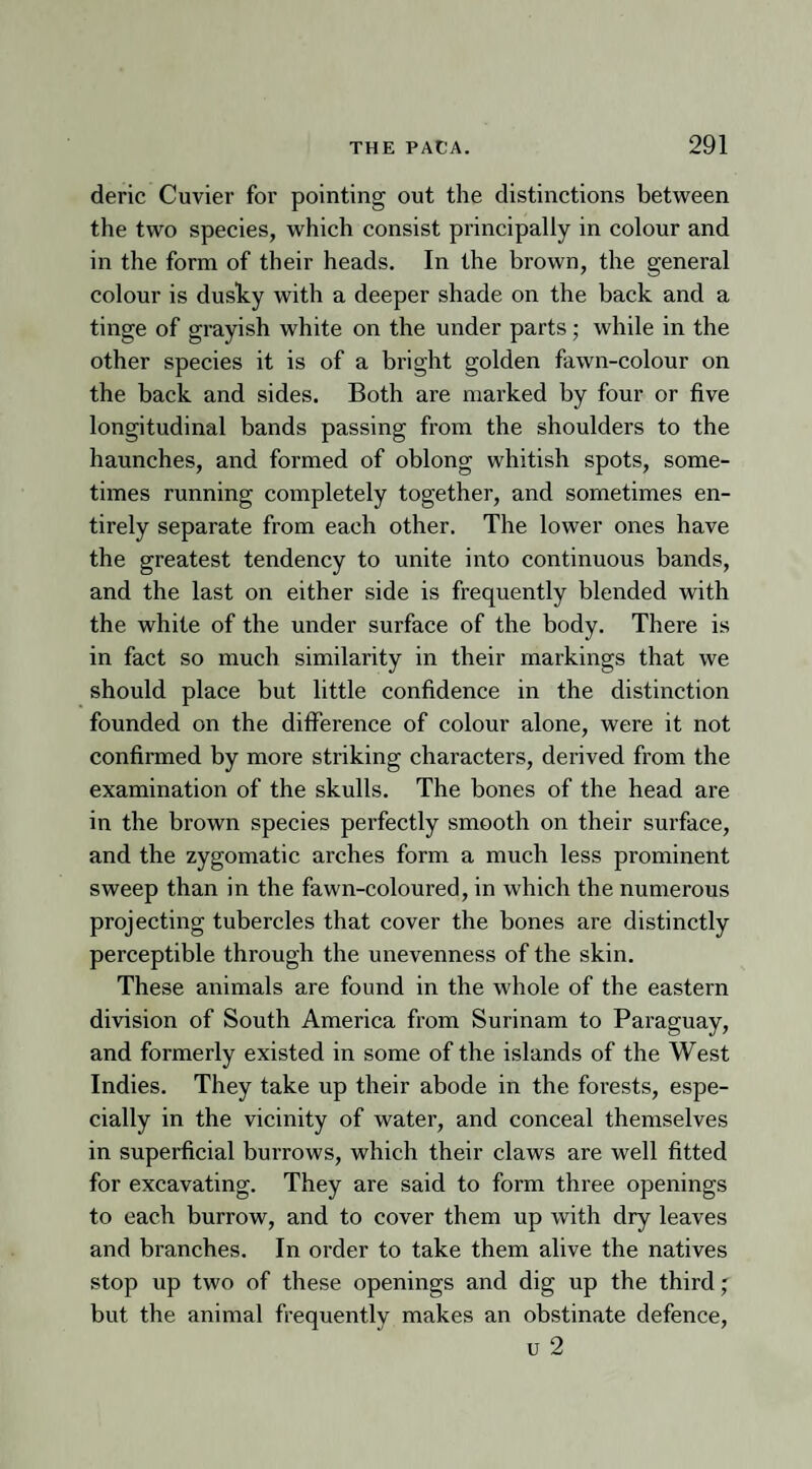 deric Cuvier for pointing out the distinctions between the two species, which consist principally in colour and in the form of their heads. In the brown, the general colour is dusky with a deeper shade on the back and a tinge of grayish white on the under parts; while in the other species it is of a bright golden fawn-colour on the back and sides. Both are marked by four or five longitudinal bands passing from the shoulders to the haunches, and formed of oblong whitish spots, some¬ times running completely together, and sometimes en¬ tirely separate from each other. The lower ones have the greatest tendency to unite into continuous bands, and the last on either side is frequently blended with the white of the under surface of the body. There is in fact so much similarity in their markings that we should place but little confidence in the distinction founded on the difference of colour alone, were it not confirmed by more striking characters, derived from the examination of the skulls. The bones of the head are in the brown species perfectly smooth on their surface, and the zygomatic arches form a much less prominent sweep than in the fawn-coloured, in which the numerous projecting tubercles that cover the bones are distinctly perceptible through the unevenness of the skin. These animals are found in the whole of the eastern division of South America from Surinam to Paraguay, and formerly existed in some of the islands of the West Indies. They take up their abode in the forests, espe¬ cially in the vicinity of water, and conceal themselves in superficial burrows, which their claws are well fitted for excavating. They are said to form three openings to each burrow, and to cover them up with dry leaves and branches. In order to take them alive the natives stop up two of these openings and dig up the third; but the animal frequently makes an obstinate defence,