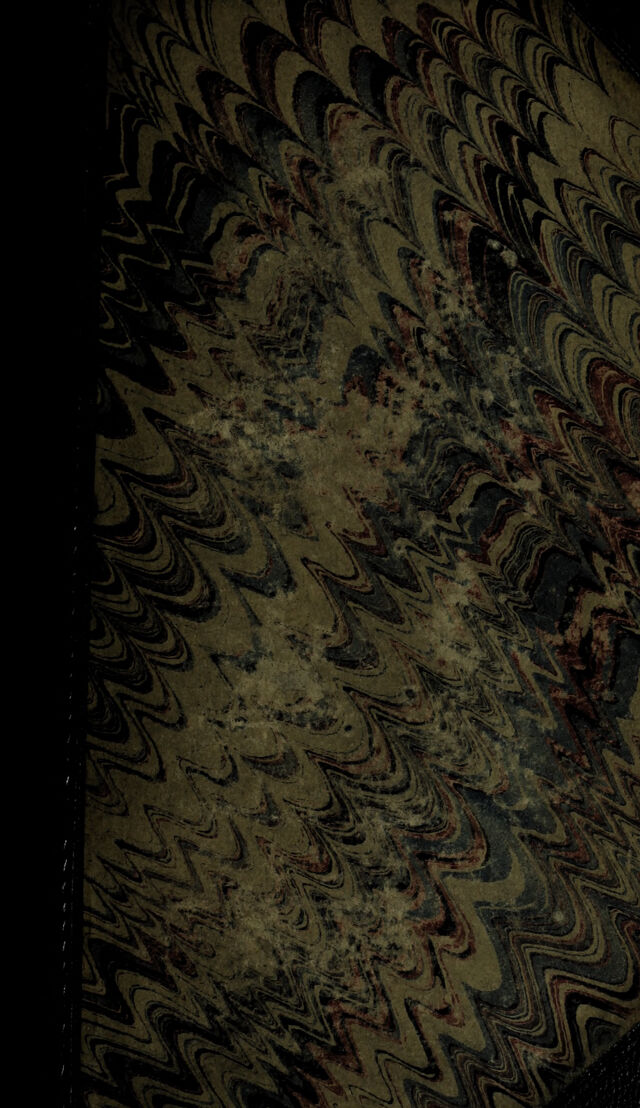 No text description is available for this image