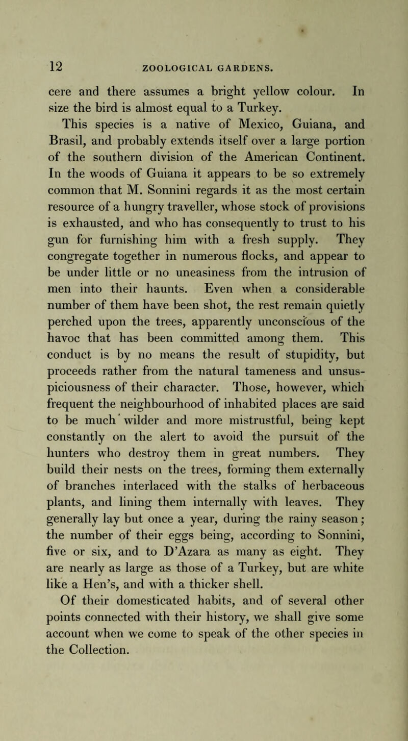 cere and there assumes a bright yellow colour. In size the bird is almost equal to a Turkey. This species is a native of Mexico, Guiana, and Brasil, and probably extends itself over a large portion of the southern division of the American Continent. In the woods of Guiana it appears to be so extremely common that M. Sonnini regards it as the most certain resource of a hungry traveller, whose stock of provisions is exhausted, and who has consequently to trust to his gun for furnishing him with a fresh supply. They congregate together in numerous flocks, and appear to be under little or no uneasiness from the intrusion of men into their haunts. Even when a considerable number of them have been shot, the rest remain quietly perched upon the trees, apparently unconscious of the havoc that has been committed among them. This conduct is by no means the result of stupidity, but proceeds rather from the natural tameness and unsus¬ piciousness of their character. Those, however, which frequent the neighbourhood of inhabited places are said to be much wilder and more mistrustful, being kept constantly on the alert to avoid the pursuit of the hunters who destroy them in great numbers. They build their nests on the trees, forming them externally of branches interlaced with the stalks of herbaceous plants, and lining them internally with leaves. They generally lay but once a year, during the rainy season; the number of their eggs being, according to Sonnini, five or six, and to D’Azara as many as eight. They are nearly as large as those of a Turkey, but are white like a Hen’s, and with a thicker shell. Of their domesticated habits, and of several other points connected with their history, we shall give some account when we come to speak of the other species in the Collection.