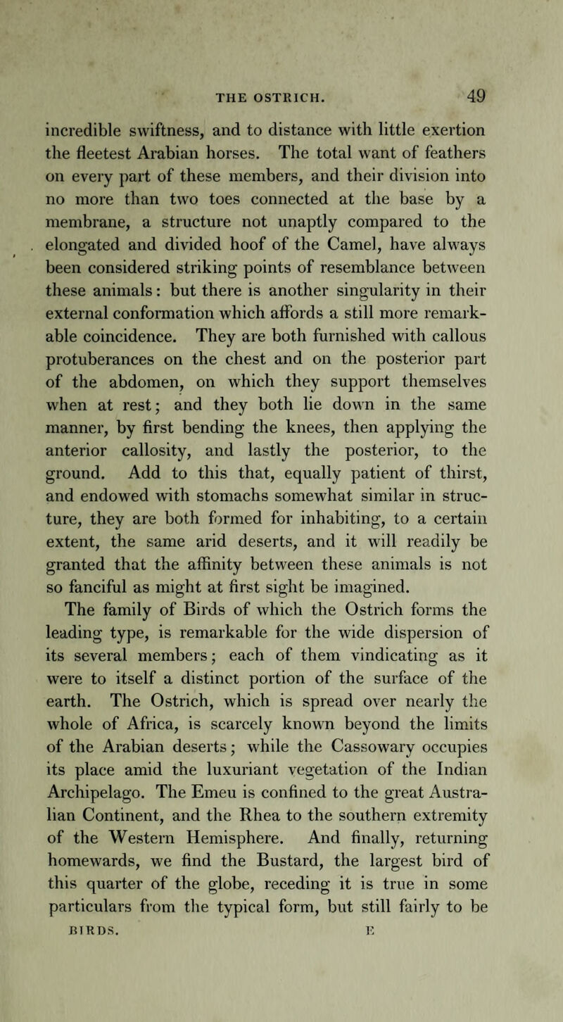 incredible swiftness, and to distance with little exertion the fleetest Arabian horses. The total want of feathers on every part of these members, and their division into no more than two toes connected at the base by a membrane, a structure not unaptly compared to the elongated and divided hoof of the Camel, have always been considered striking points of resemblance between these animals: but there is another singularity in their external conformation which affords a still more remark¬ able coincidence. They are both furnished with callous protuberances on the chest and on the posterior part of the abdomen, on which they support themselves when at rest; and they both lie down in the same manner, by first bending the knees, then applying the anterior callosity, and lastly the posterior, to the ground. Add to this that, equally patient of thirst, and endowed with stomachs somewhat similar in struc¬ ture, they are both formed for inhabiting, to a certain extent, the same arid deserts, and it will readily be granted that the affinity between these animals is not so fanciful as might at first sight be imagined. The family of Birds of which the Ostrich forms the leading type, is remarkable for the wide dispersion of its several members; each of them vindicating as it were to itself a distinct portion of the surface of the earth. The Ostrich, which is spread over nearly the whole of Africa, is scarcely known beyond the limits of the Arabian deserts; while the Cassowary occupies its place amid the luxuriant vegetation of the Indian Archipelago. The Emeu is confined to the great Austra¬ lian Continent, and the Rhea to the southern extremity of the Western Hemisphere. And finally, returning homewards, we find the Bustard, the largest bird of this quarter of the globe, receding it is true in some particulars from the typical form, but still fairly to be BIRDS. E