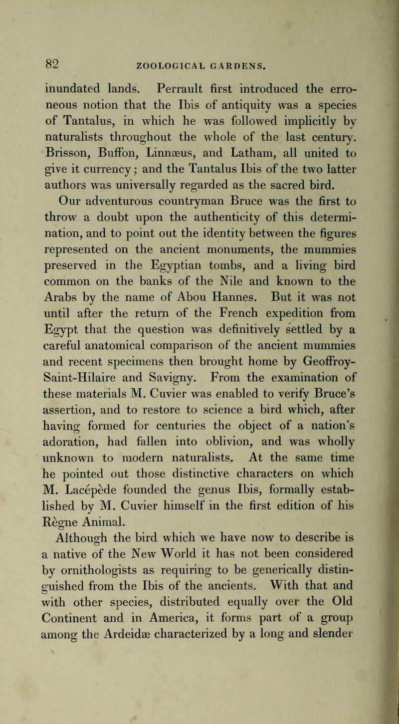 inundated lands. Perrault first introduced the erro¬ neous notion that the Ibis of antiquity was a species of Tantalus, in which he was followed implicitly by naturalists throughout the whole of the last century. Brisson, Buffon, Linnaeus, and Latham, all united to give it currency; and the Tantalus Ibis of the two latter authors was universally regarded as the sacred bird. Our adventurous countryman Bruce was the first to throw a doubt upon the authenticity of this determi¬ nation, and to point out the identity between the figures represented on the ancient monuments, the mummies preserved in the Egyptian tombs, and a living bird common on the banks of the Nile and known to the Arabs by the name of Abou Hannes. But it was not until after the return of the French expedition from Egypt that the question was definitively settled by a careful anatomical comparison of the ancient mummies and recent specimens then brought home by Geoffroy- Saint-Hilaire and Savigny. From the examination of these materials M. Cuvier was enabled to verify Bruce’s assertion, and to restore to science a bird which, after having formed for centuries the object of a nation’s adoration, had fallen into oblivion, and was wholly unknown to modern naturalists. At the same time he pointed out those distinctive characters on which M. Lacepede founded the genus Ibis, formally estab¬ lished by M. Cuvier himself in the first edition of his Regne Animal. Although the bird which we have now to describe is a native of the New World it has not been considered by ornithologists as requiring to be generically distin¬ guished from the Ibis of the ancients. With that and with other species, distributed equally over the Old Continent and in America, it forms part of a group among the Ardeidae characterized by a long and slender