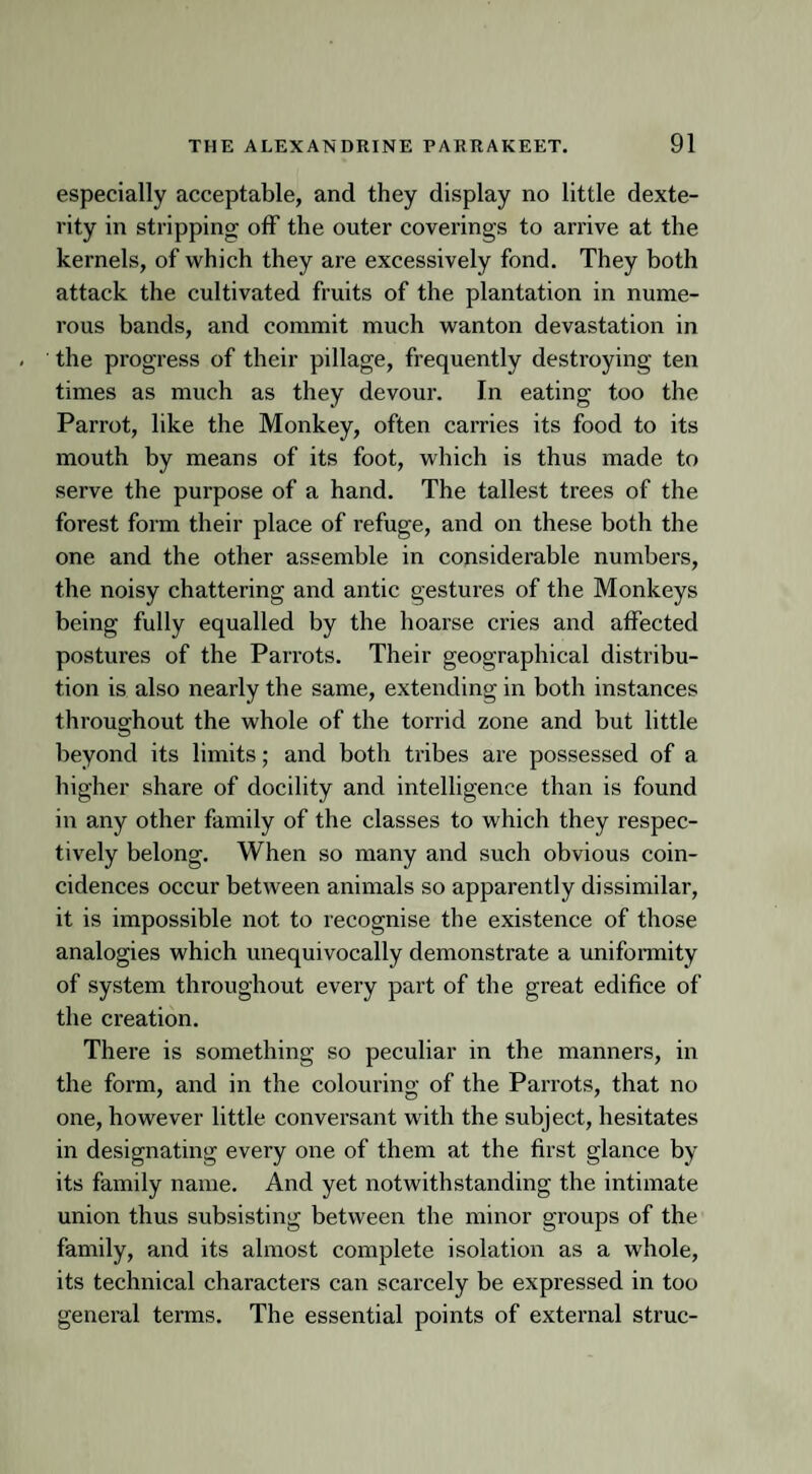 especially acceptable, and they display no little dexte¬ rity in stripping off the outer coverings to arrive at the kernels, of which they are excessively fond. They both attack the cultivated fruits of the plantation in nume¬ rous bands, and commit much wanton devastation in the progress of their pillage, frequently destroying ten times as much as they devour. In eating too the Parrot, like the Monkey, often carries its food to its mouth by means of its foot, which is thus made to serve the purpose of a hand. The tallest trees of the forest form their place of refuge, and on these both the one and the other assemble in considerable numbers, the noisy chattering and antic gestures of the Monkeys being fully equalled by the hoarse cries and affected postures of the Parrots. Their geographical distribu¬ tion is also nearly the same, extending in both instances throughout the whole of the torrid zone and but little beyond its limits; and both tribes are possessed of a higher share of docility and intelligence than is found in any other family of the classes to which they respec¬ tively belong. When so many and such obvious coin¬ cidences occur between animals so apparently dissimilar, it is impossible not to recognise the existence of those analogies which unequivocally demonstrate a uniformity of system throughout every part of the great edifice of the creation. There is something so peculiar in the manners, in the form, and in the colouring of the Parrots, that no one, however little conversant with the subject, hesitates in designating every one of them at the first glance by its family name. And yet notwithstanding the intimate union thus subsisting between the minor groups of the family, and its almost complete isolation as a whole, its technical characters can scarcely be expressed in too general terms. The essential points of external struc-