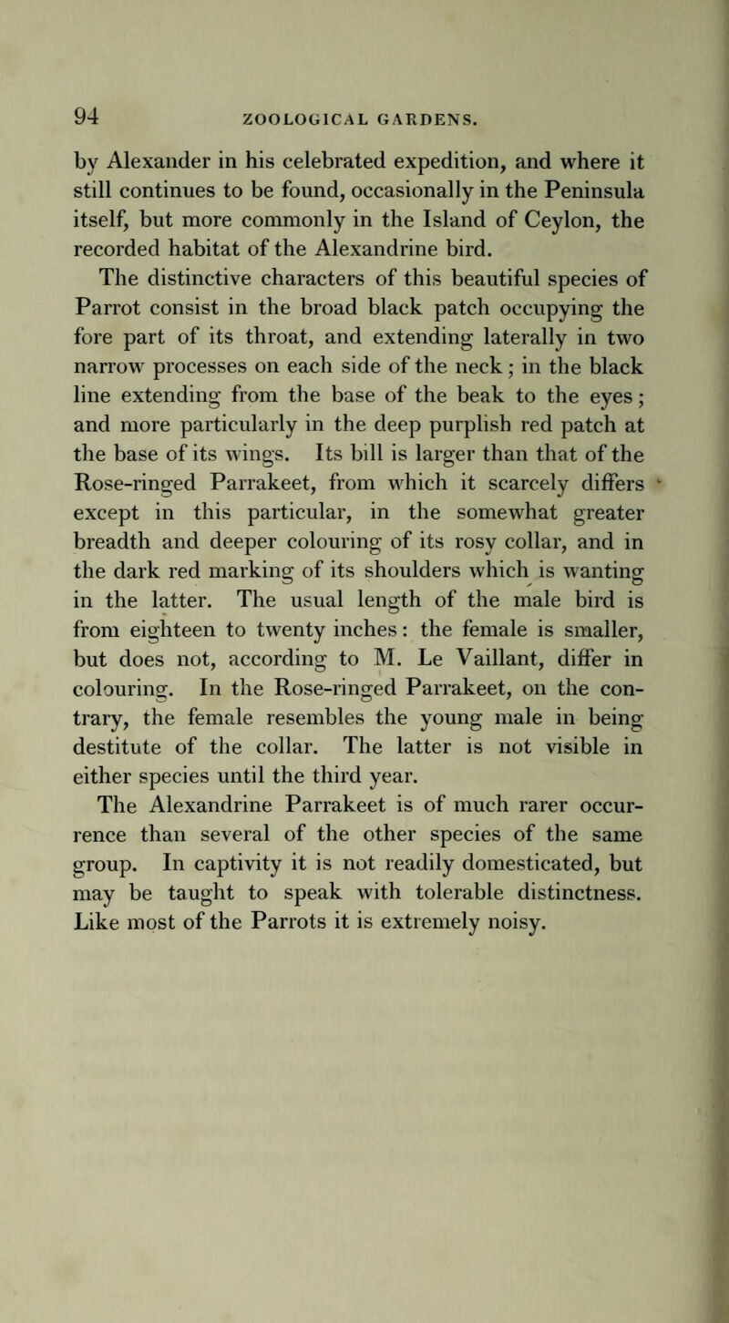 by Alexander in his celebrated expedition, and where it still continues to be found, occasionally in the Peninsula itself, but more commonly in the Island of Ceylon, the recorded habitat of the Alexandrine bird. The distinctive characters of this beautiful species of Parrot consist in the broad black patch occupying the fore part of its throat, and extending laterally in two narrow7 processes on each side of the neck; in the black line extending from the base of the beak to the eyes; and more particularly in the deep purplish red patch at the base of its wings. Its bill is larger than that of the Rose-ringed Parrakeet, from which it scarcely differs except in this particular, in the somewhat greater breadth and deeper colouring of its rosy collar, and in the dark red marking of its shoulders which is wanting in the latter. The usual length of the male bird is from eighteen to twenty inches: the female is smaller, but does not, according to M. Le Vaillant, differ in colouring. In the Rose-ringed Parrakeet, on the con¬ trary, the female resembles the young male in being destitute of the collar. The latter is not visible in either species until the third year. The Alexandrine Parrakeet is of much rarer occur¬ rence than several of the other species of the same group. In captivity it is not readily domesticated, but may be taught to speak with tolerable distinctness. Like most of the Parrots it is extremely noisy.