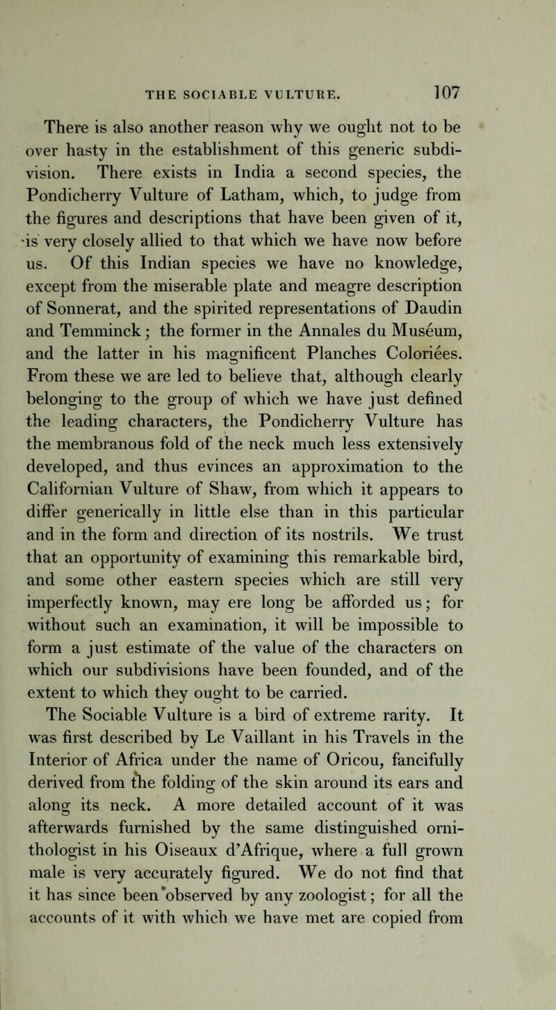 There is also another reason why we ought not to be over hasty in the establishment of this generic subdi¬ vision. There exists in India a second species, the Pondicherry Vulture of Latham, which, to judge from the figures and descriptions that have been given of it, -is very closely allied to that which we have now before us. Of this Indian species we have no knowledge, except from the miserable plate and meagre description of Sonnerat, and the spirited representations of Daudin and Temminck ; the former in the Annales du Museum, and the latter in his magnificent Planches Coloriees. From these we are led to believe that, although clearly belonging to the group of which we have just defined the leading characters, the Pondicherry Vulture has the membranous fold of the neck much less extensively developed, and thus evinces an approximation to the Californian Vulture of Shaw, from which it appears to differ generically in little else than in this particular and in the form and direction of its nostrils. We trust that an opportunity of examining this remarkable bird, and some other eastern species which are still very imperfectly known, may ere long be afforded us; for without such an examination, it will be impossible to form a just estimate of the value of the characters on which our subdivisions have been founded, and of the extent to which they ought to be carried. The Sociable Vulture is a bird of extreme rarity. It was first described by Le Vaillant in his Travels in the Interior of Africa under the name of Oricou, fancifully derived from the folding of the skin around its ears and along its neck. A more detailed account of it was afterwards furnished by the same distinguished orni¬ thologist in his Oiseaux d’Afrique, where a full grown male is very accurately figured. We do not find that it has since been‘observed by any zoologist; for all the accounts of it with which we have met are copied from