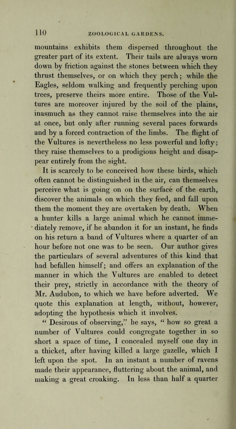 mountains exhibits them dispersed throughout the greater part of its extent. Their tails are always worn down by friction against the stones between which they thrust themselves, or on which they perch; while the Eagles, seldom walking and frequently perching upon trees, preserve theirs more entire. Those of the Vul¬ tures are moreover injured by the soil of the plains, inasmuch as they cannot raise themselves into the air at once, but only after running several paces forwards and by a forced contraction of the limbs. The flight of the Vultures is nevertheless no less powerful and lofty; they raise themselves to a prodigious height and disap¬ pear entirely from the sight. It is scarcely to be conceived how these birds, which often cannot be distinguished in the air, can themselves perceive what is going on on the surface of the earth, discover the animals on which they feed, and fall upon them the moment they are overtaken by death. When a hunter kills a large animal which he cannot imme¬ diately remove, if he abandon it for an instant, he finds on his return a band of Vultures where a quarter of an hour before not one was to be seen. Our author gives the particulars of several adventures of this kind that had befallen himself; and offers an explanation of the manner in which the Vultures are enabled to detect their prey, strictly in accordance with the theory of Mr. Audubon, to which we have before adverted. We quote this explanation at length, without, however, adopting the hypothesis which it involves. “ Desirous of observing,” he says, “ how so great a number of Vultures could congregate together in so short a space of time, I concealed myself one day in a thicket, after having killed a large gazelle, which I left upon the spot. In an instant a number of ravens made their appearance, fluttering about the animal, and making a great croaking. In less than half a quarter
