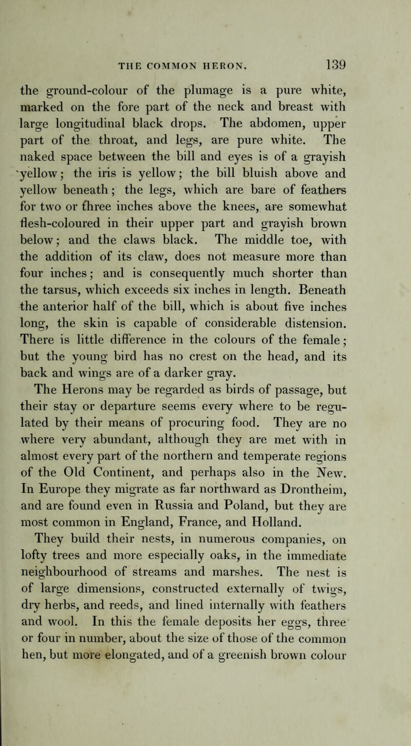 the ground-colour of the plumage is a pure white, marked on the fore part of the neck and breast with large longitudinal black drops. The abdomen, upper part of the throat, and legs, are pure white. The naked space between the bill and eyes is of a grayish 'yellow; the iris is yellow; the bill bluish above and yellow beneath; the legs, which are bare of feathers for two or fhree inches above the knees, are somewhat flesh-coloured in their upper part and grayish brown below; and the claws black. The middle toe, with the addition of its claw, does not measure more than four inches; and is consequently much shorter than the tarsus, which exceeds six inches in length. Beneath the anterior half of the bill, which is about five inches long, the skin is capable of considerable distension. There is little difference in the colours of the female; but the young bird has no crest on the head, and its back and wings are of a darker gray. The Herons may be regarded as birds of passage, but their stay or departure seems every where to be regu¬ lated by their means of procuring food. They are no where very abundant, although they are met with in almost every part of the northern and temperate regions of the Old Continent, and perhaps also in the New. In Europe they migrate as far northward as Drontheim, and are found even in Russia and Poland, but they are most common in England, France, and Holland. They build their nests, in numerous companies, on lofty trees and more especially oaks, in the immediate neighbourhood of streams and marshes. The nest is of large dimensions, constructed externally of twigs, dry herbs, and reeds, and lined internally with feathers and wool. In this the female deposits her eggs, three or four in number, about the size of those of the common hen, but more elongated, and of a greenish brown colour